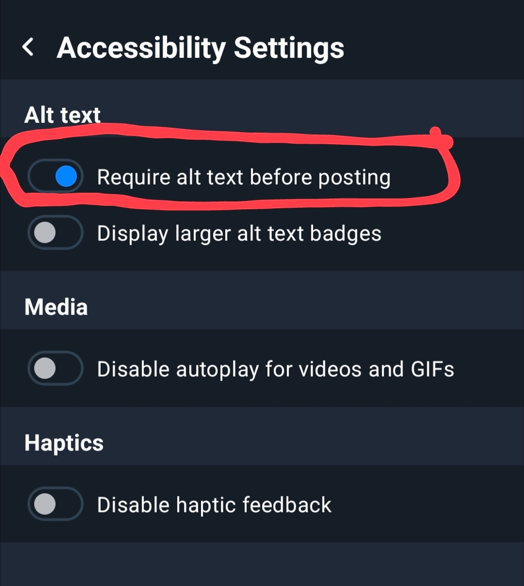 screenshot of BlueSky's Accessibility Settings page with the Require Alt Text Before Posting setting circled in red. it is set to 'on'