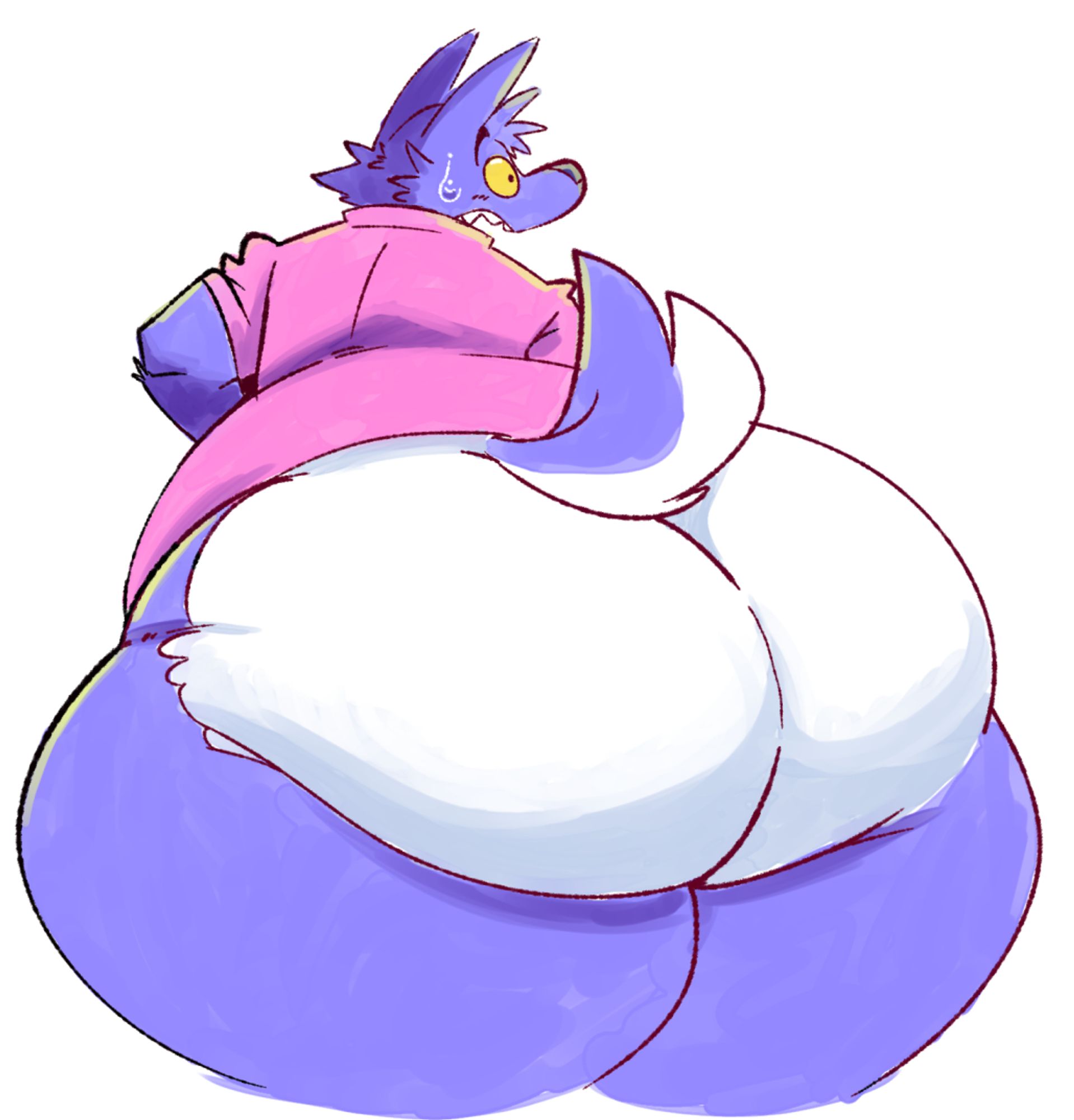 A large indigo wolf with a huge rear and a pink shirt looking panicked.