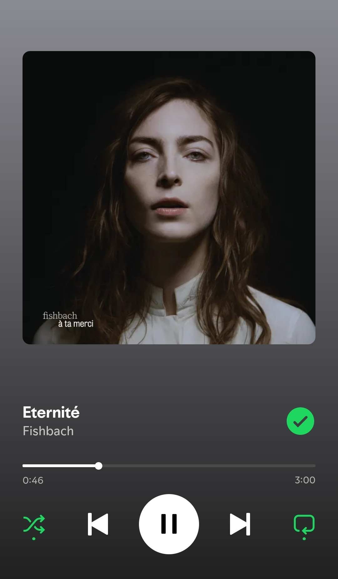 Screenshot spotify de la chanson "Éternité" pae le groupe Fischbach