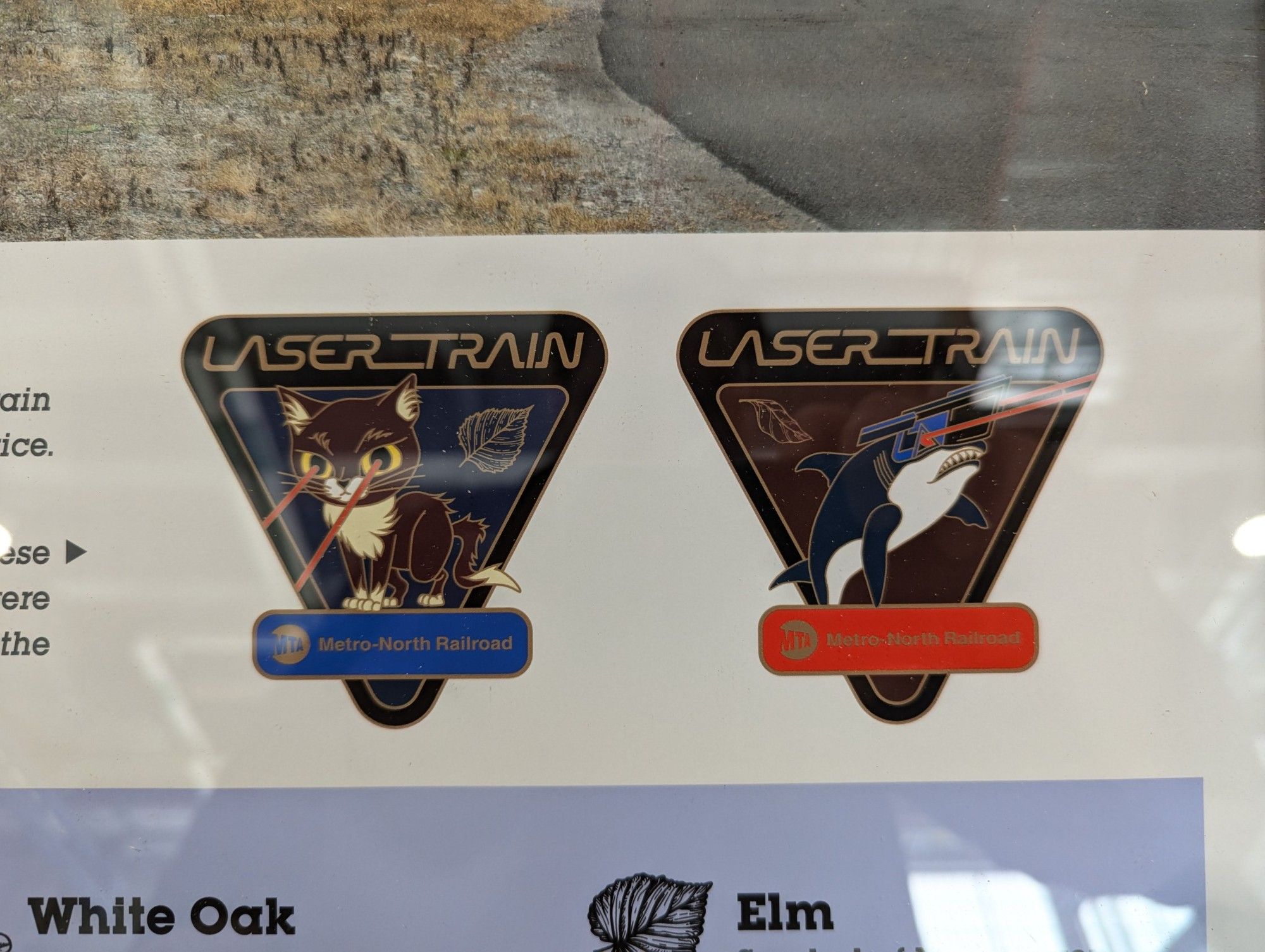 Close up of one the graphics originally proposed for the "Laser Train". Yes, that is a a cat and a shark with laser beam eyes. These designs were later made into challenge coins.