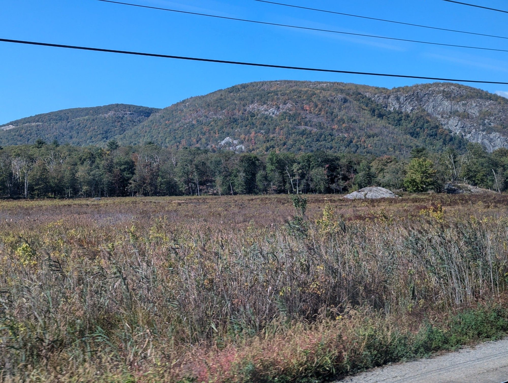 View from the train of the Constitution Island Marsh.