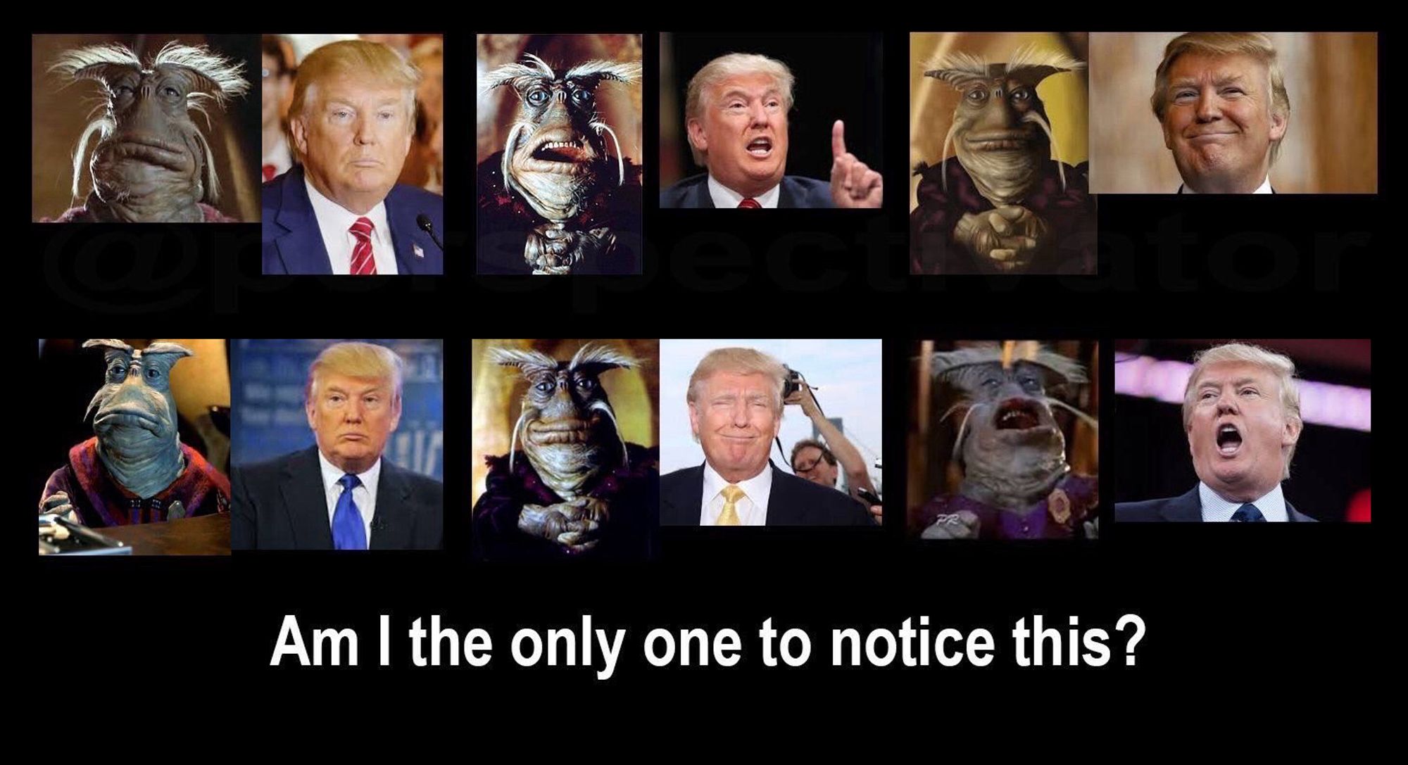 Series of images comparing Donald trump to the farting alien muppet Rygel the Dominar from the Farspace sci-fi show