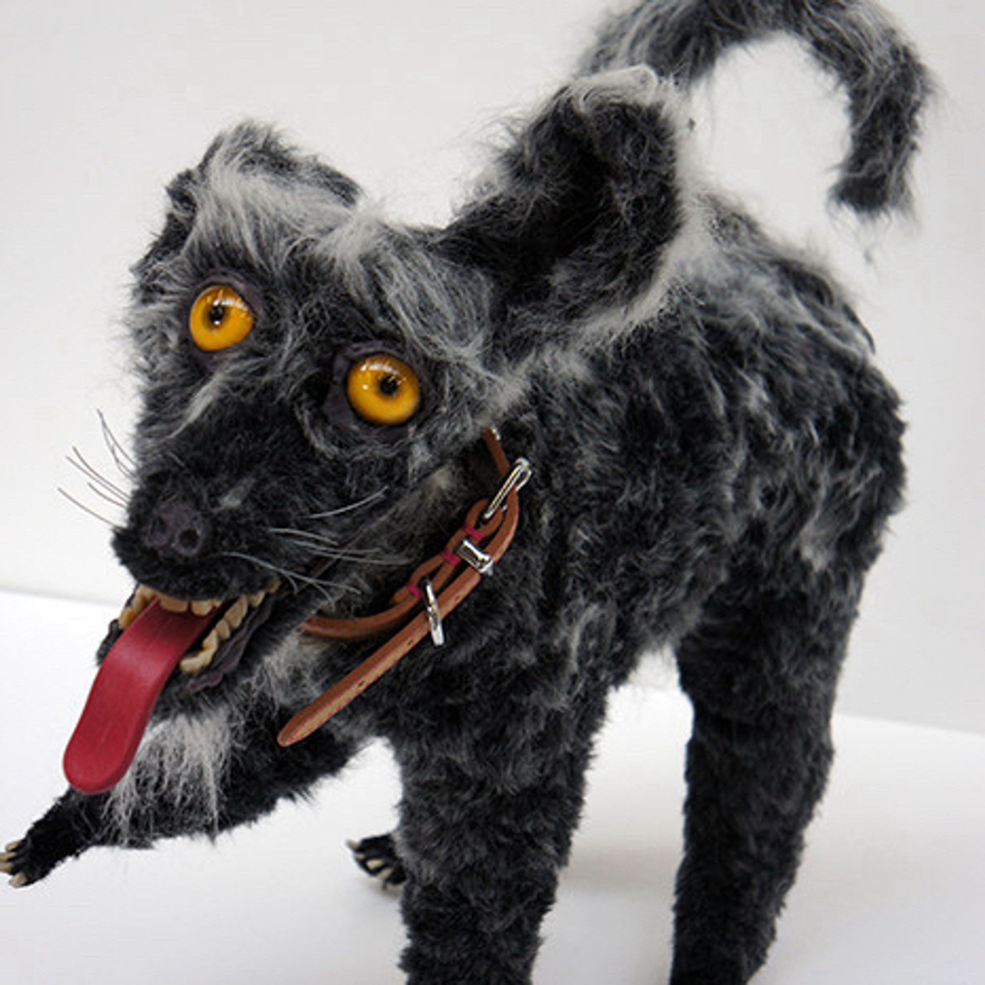 Terrifyingly badly taxidermied black dog.