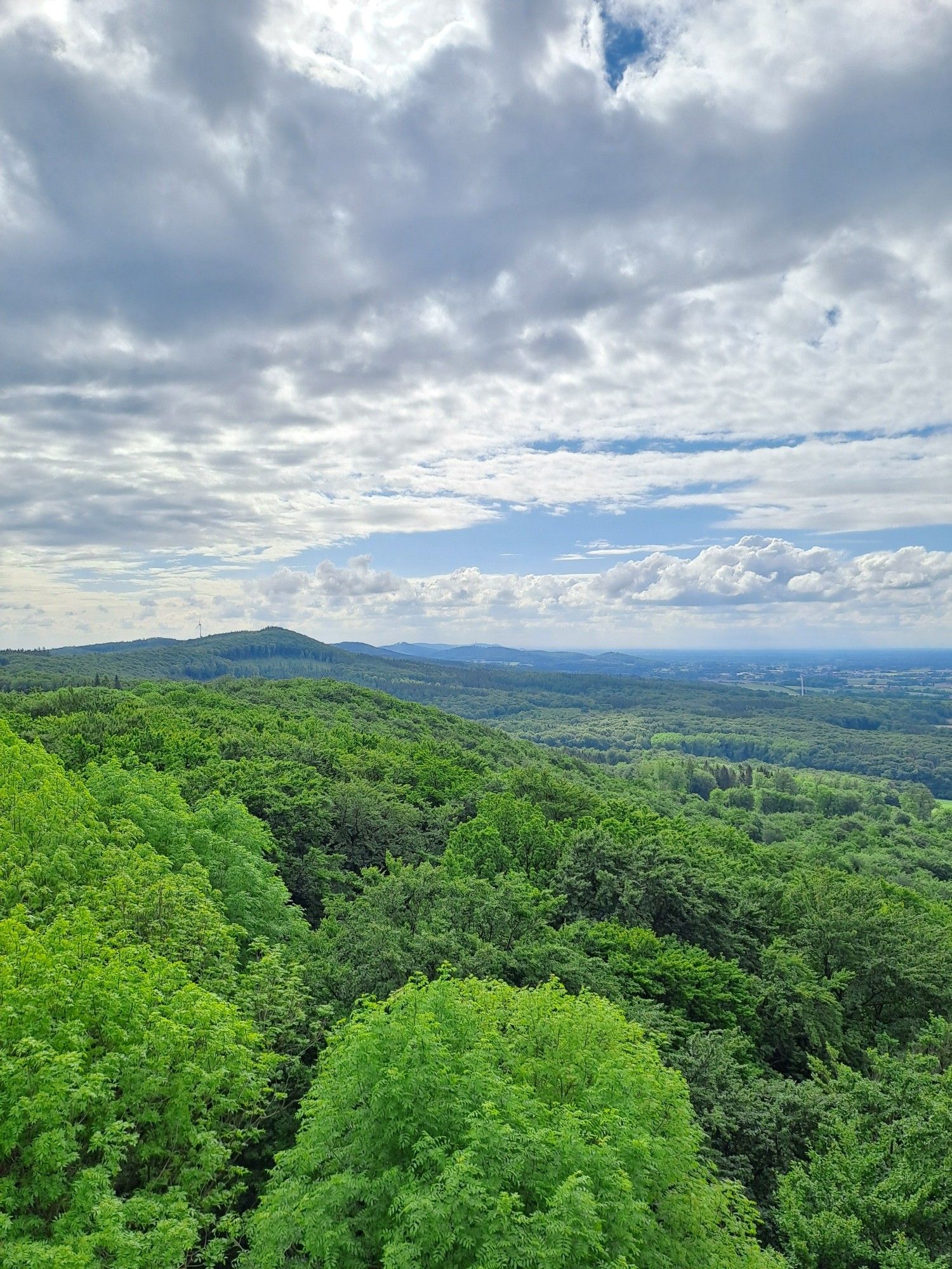 Wolken / Wald / Aussicht