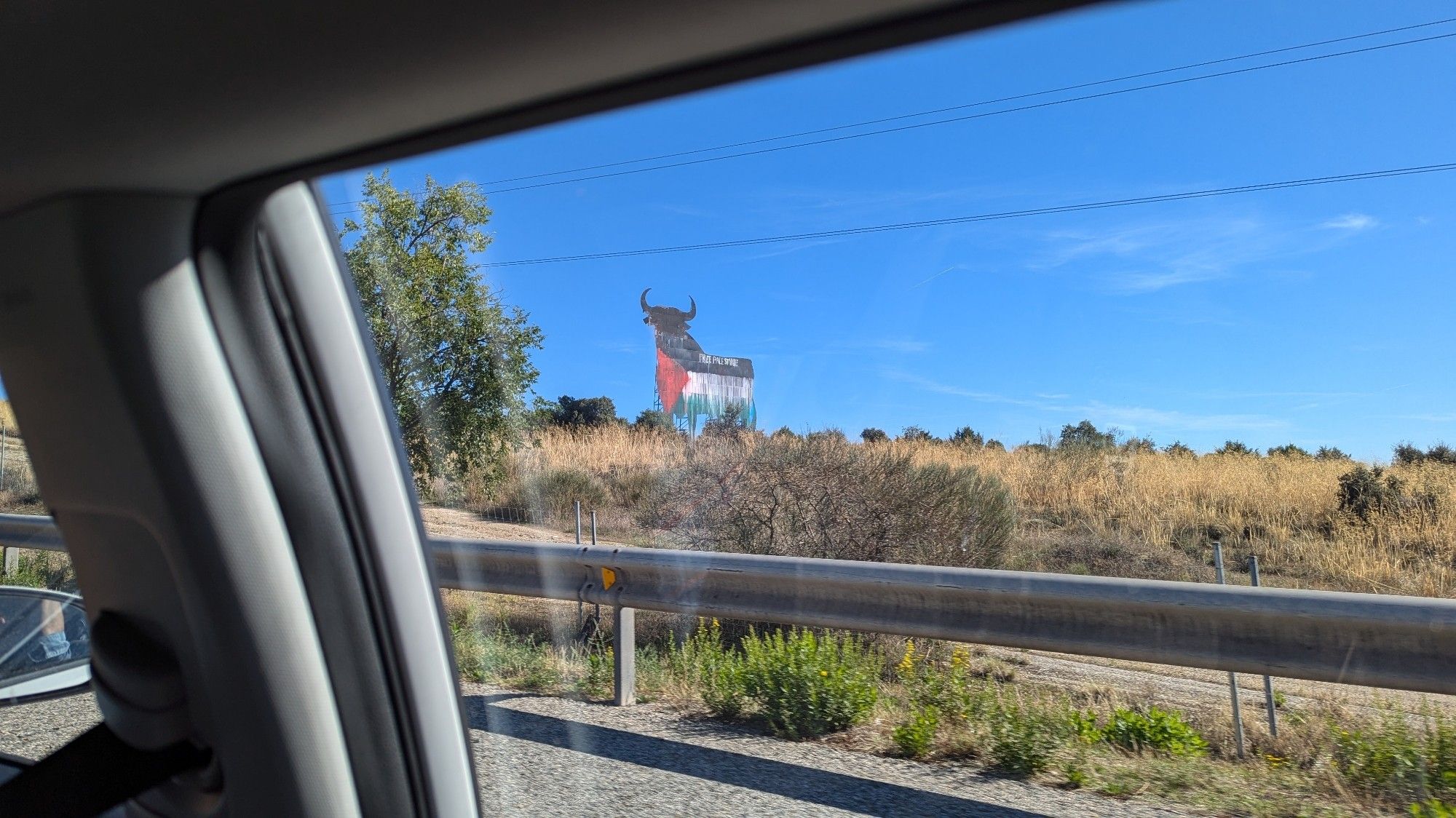 Una foto de un toro de Osborne con la bandera palestina pintada por encima