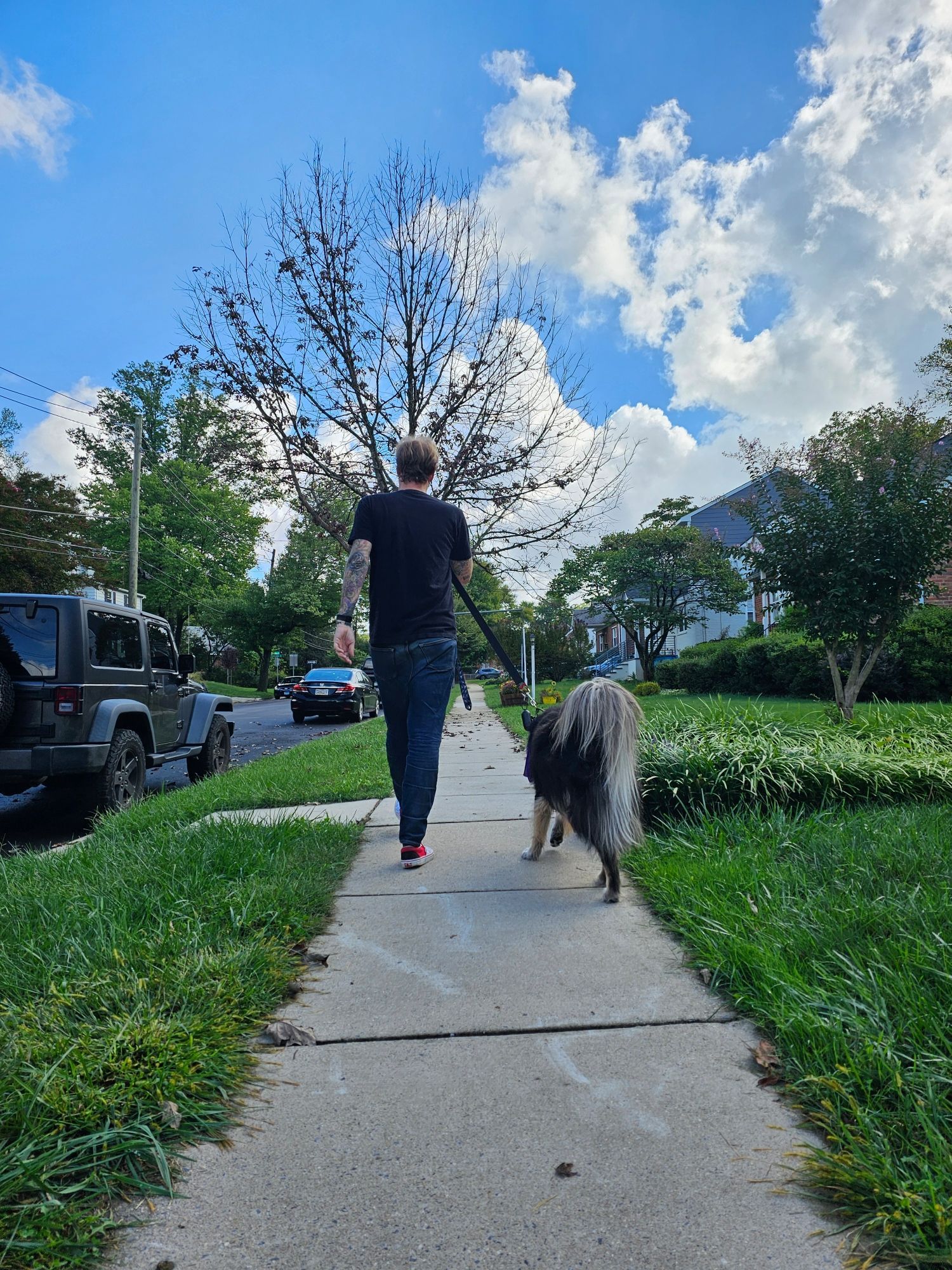 A man walking a fluffy dog from the back.