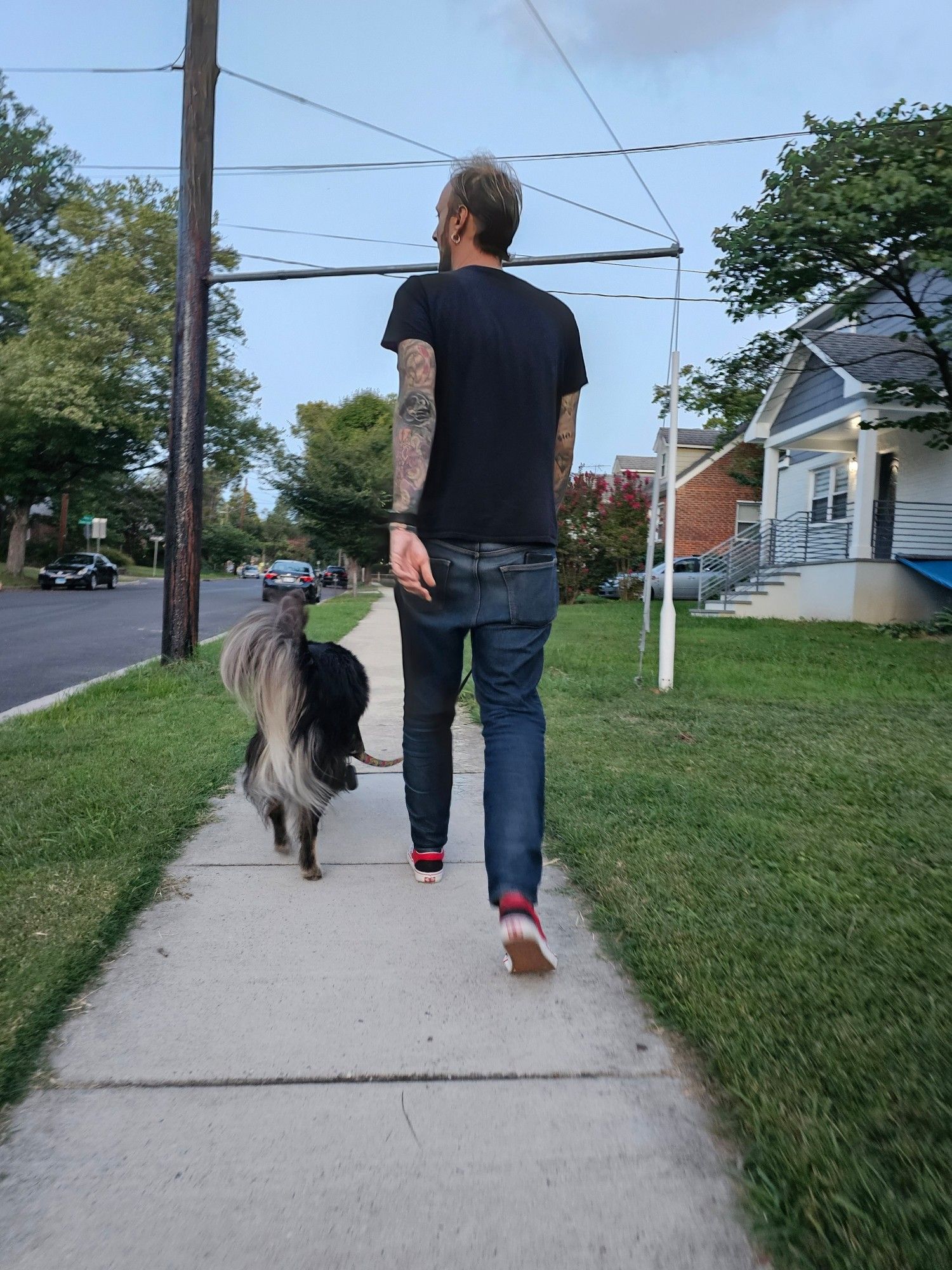 A man walking a fluffy dog from the back.