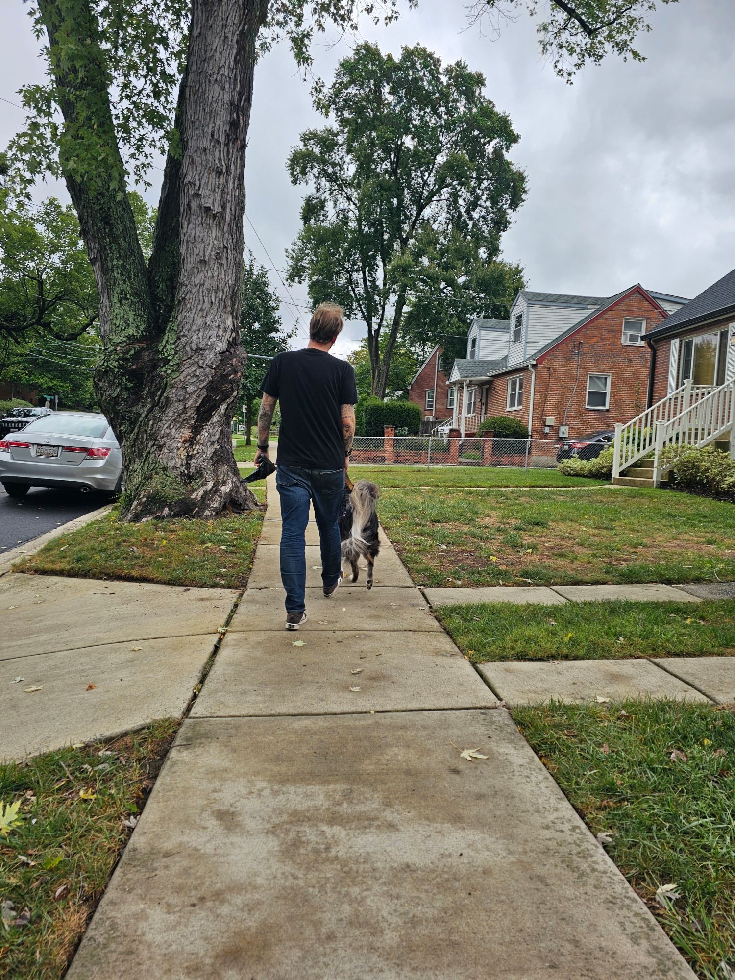 A man walking a fluffy dog from the back.