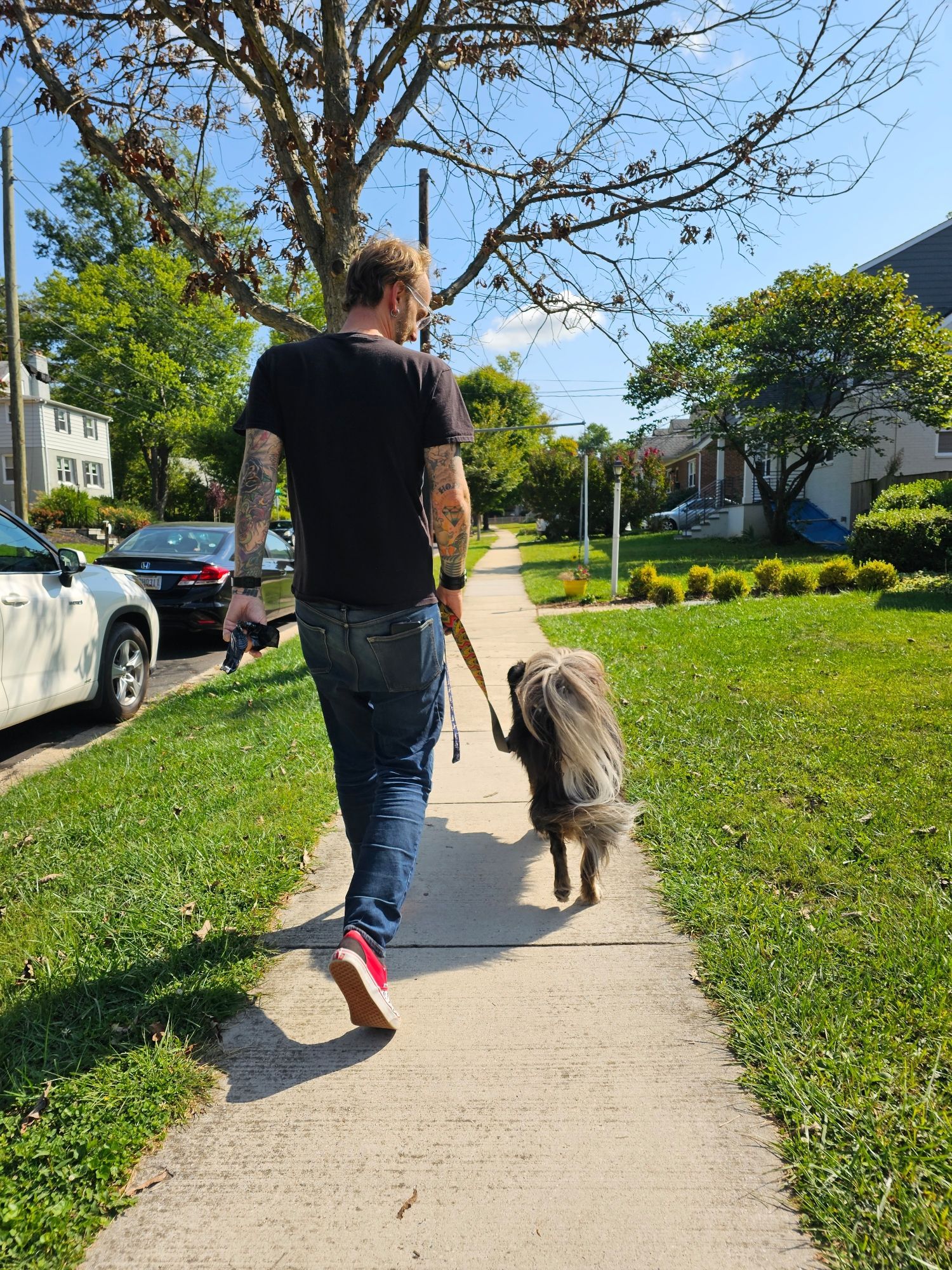 A man walking a fluffy dog from the back.