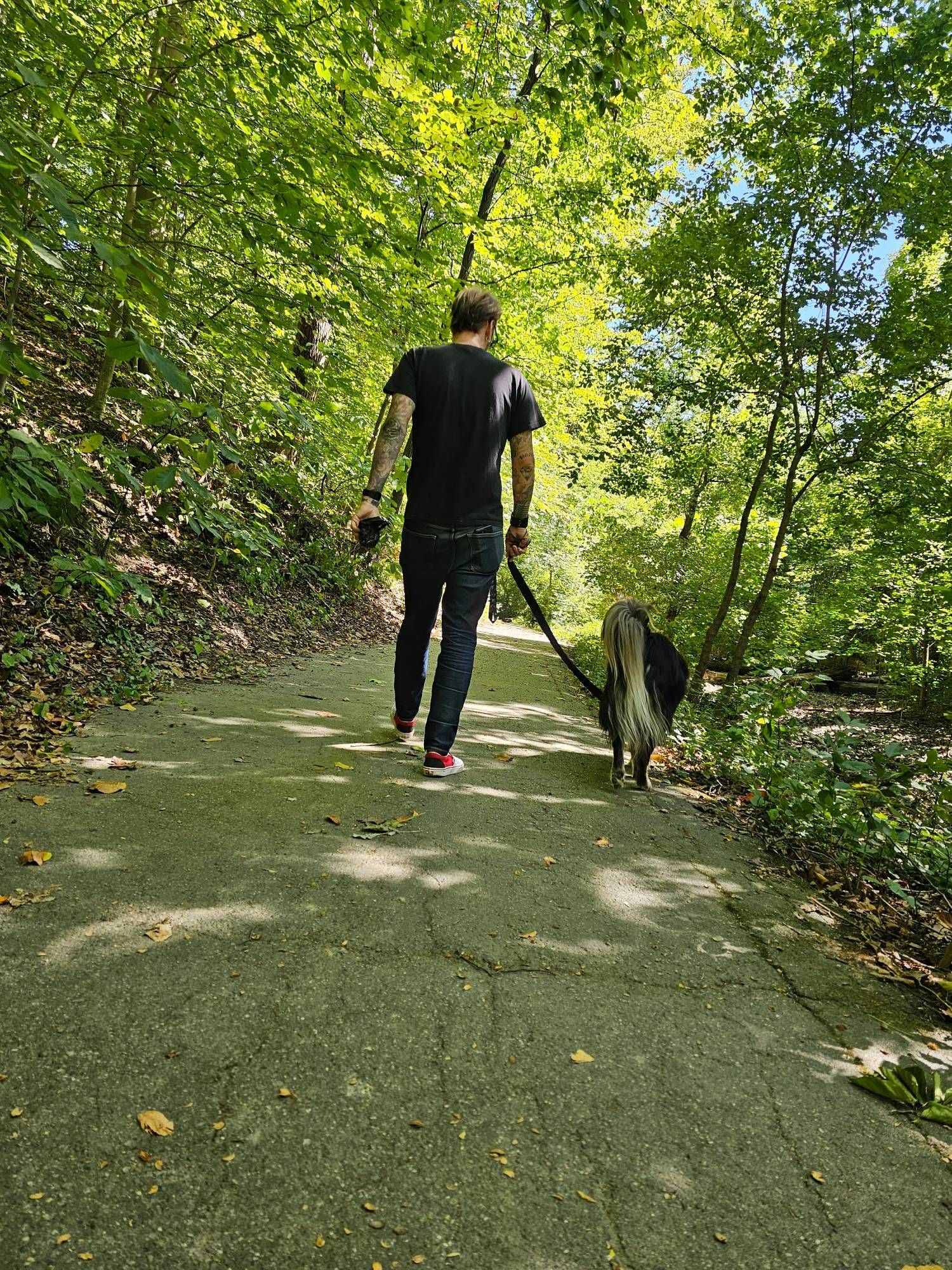 A man walking a fluffy dog from the back.