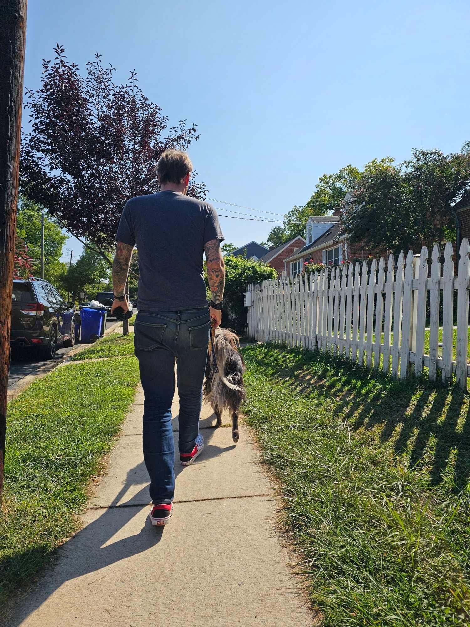 A man walking a fluffy dog from the back.