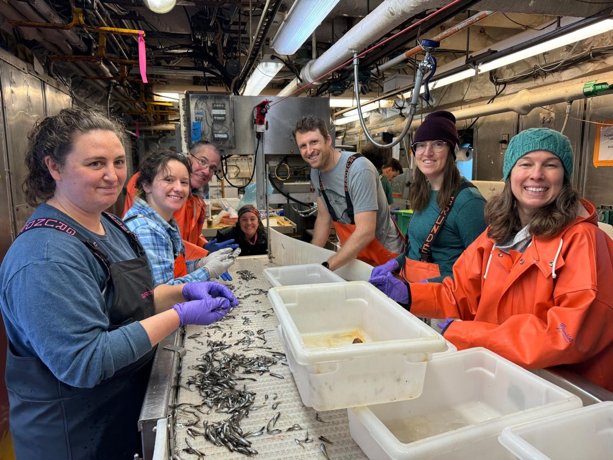 Oceanographers and fisheries biologists from the National Oceanic and Atmospheric Administration (NOAA) Alaska Fisheries Science Center (AFSC) Ecosystem and Monitoring Assessment (EMA) program aboard the NOAA Ship Oscar Dyson.