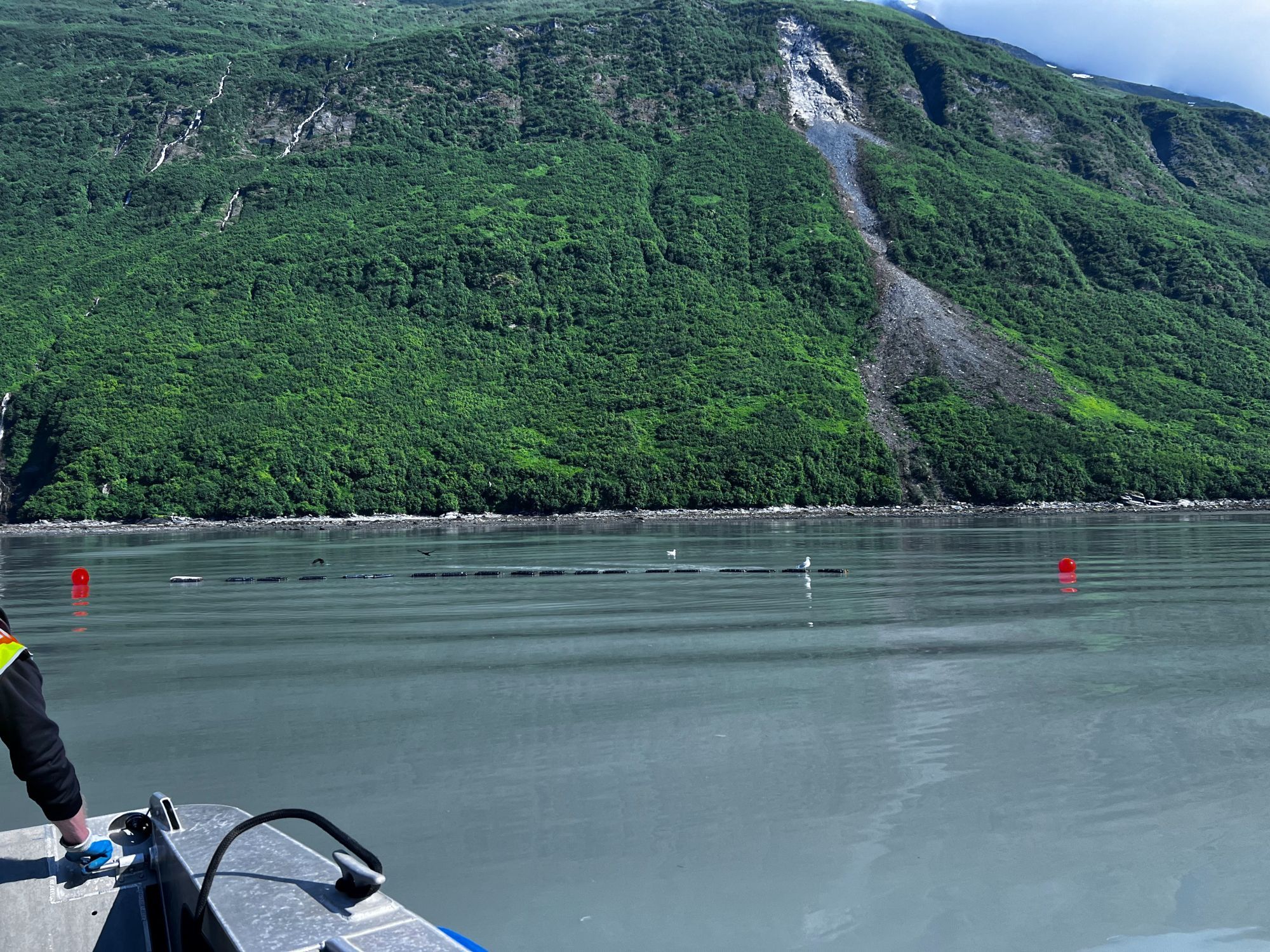 Valdez Native Tribe Mineral Creek Oyster Farm in Port Valdez.