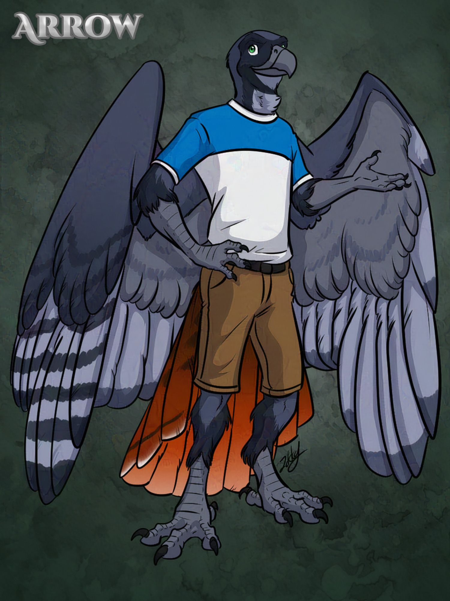 An anthropomorphic hawk with red tailfeathers and slate grey body feathers wearing a tshirt and khaki shorts.