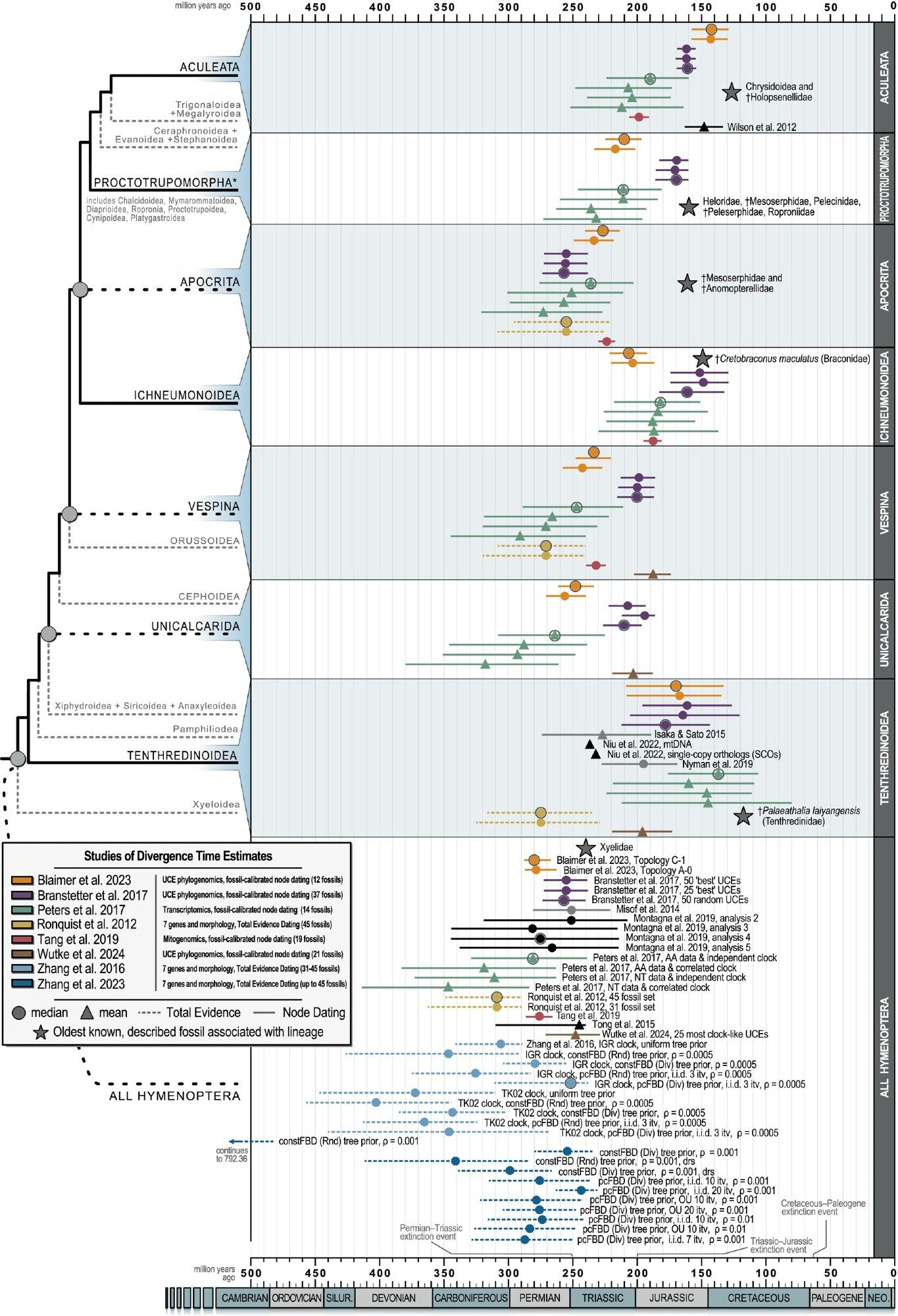 Summary of key divergence date estimates within Hymenoptera.