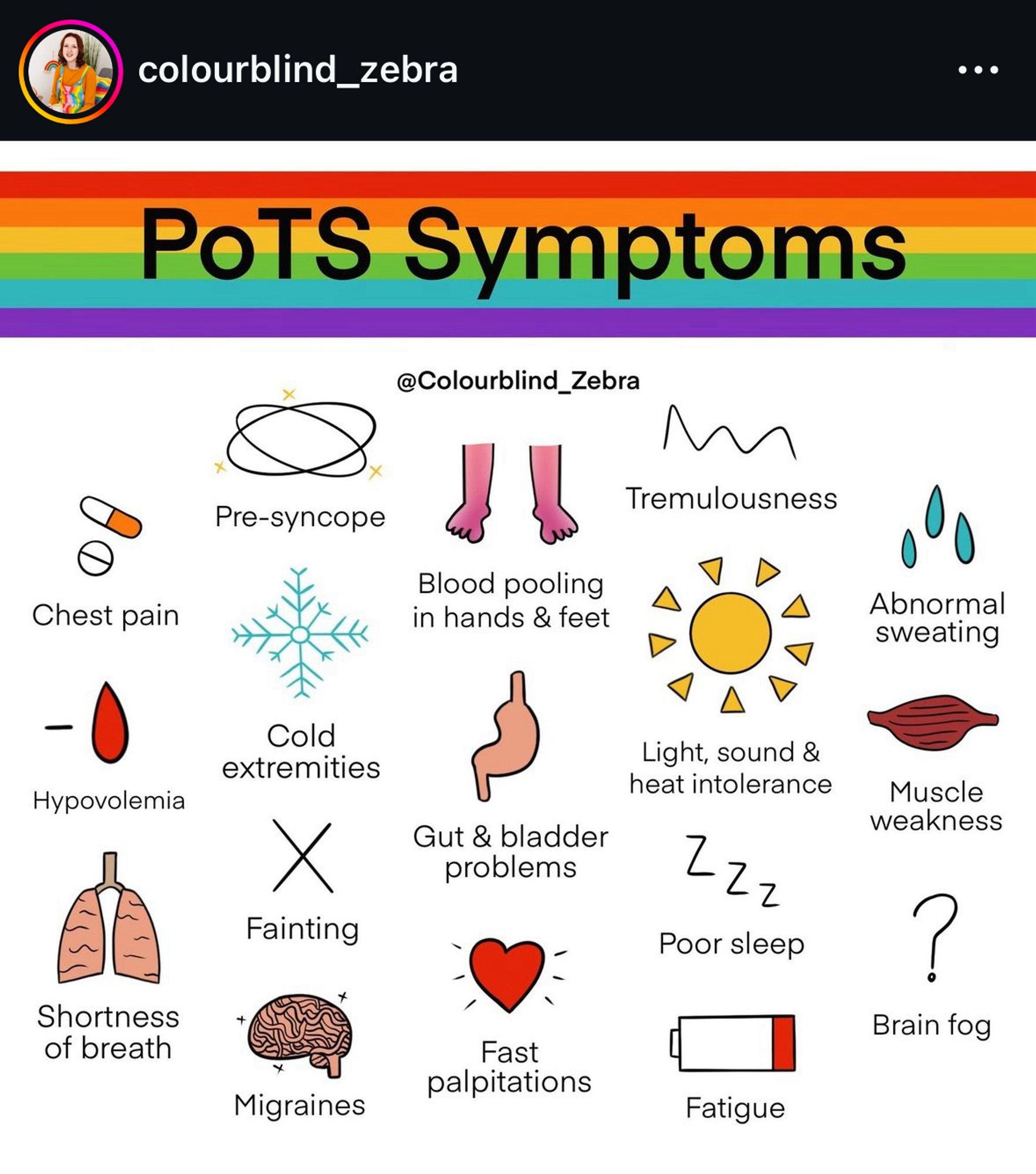 Screenshot eines Instagram Posts von colourblind_zebra. Illustration. Überschrift: "PoTS Symptoms". Aufgeführte Symptome: Pre-syncope, Chest pain, Blood pooling in hands & feet, Abnormal sweating, Hypovolemia, Cold extremities, Fainting, Gut & bladder problems, Light, sound & heat intolerance, Poor sleep, Muscle weakness, Shortness of breath, Brain fog, Tremulousness, Fast palpitations, Fatigue. Zu jedem Symptom gehört ein kleines Bild.