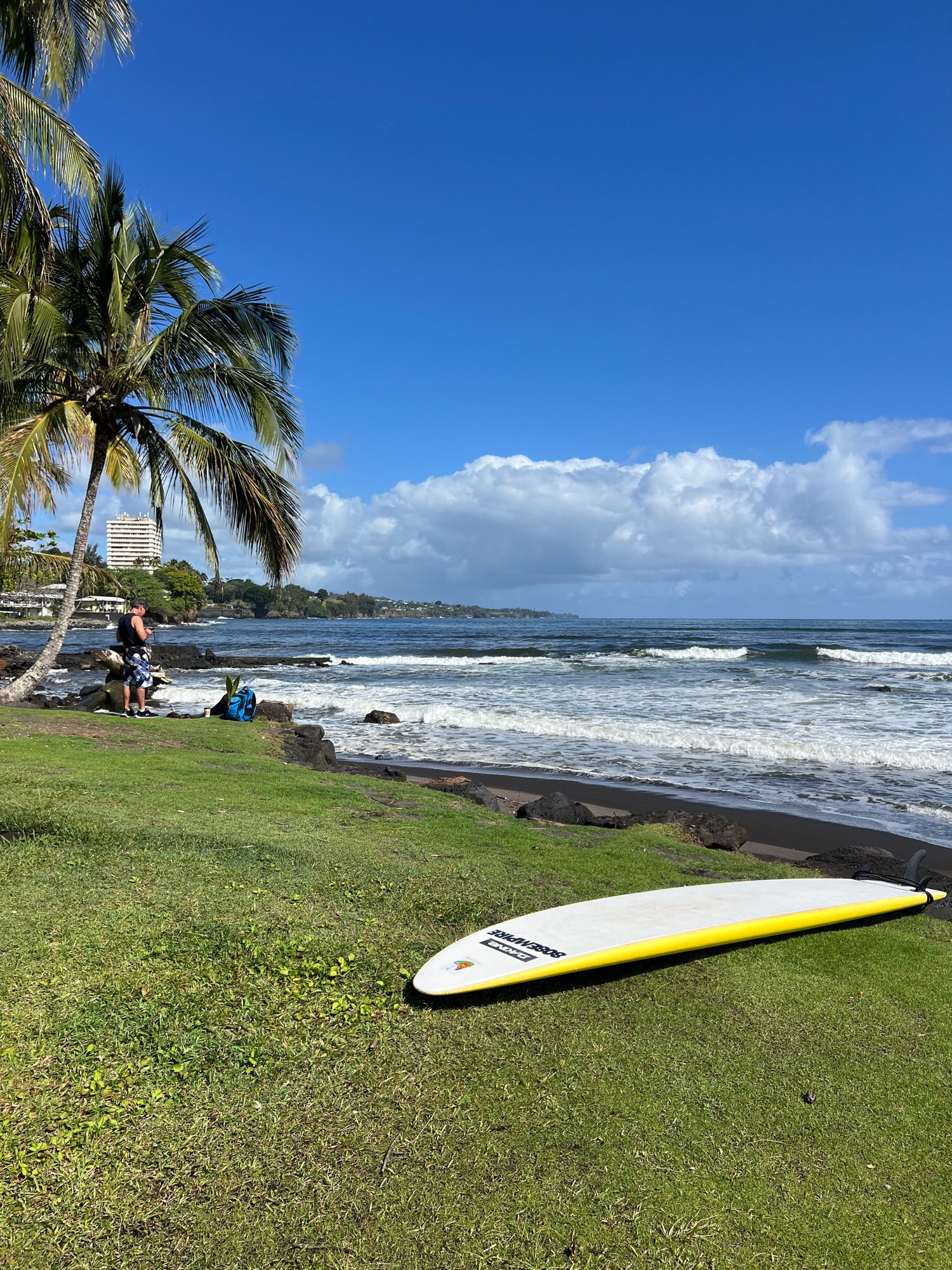 A surf board and some palm trees with the beach in the background