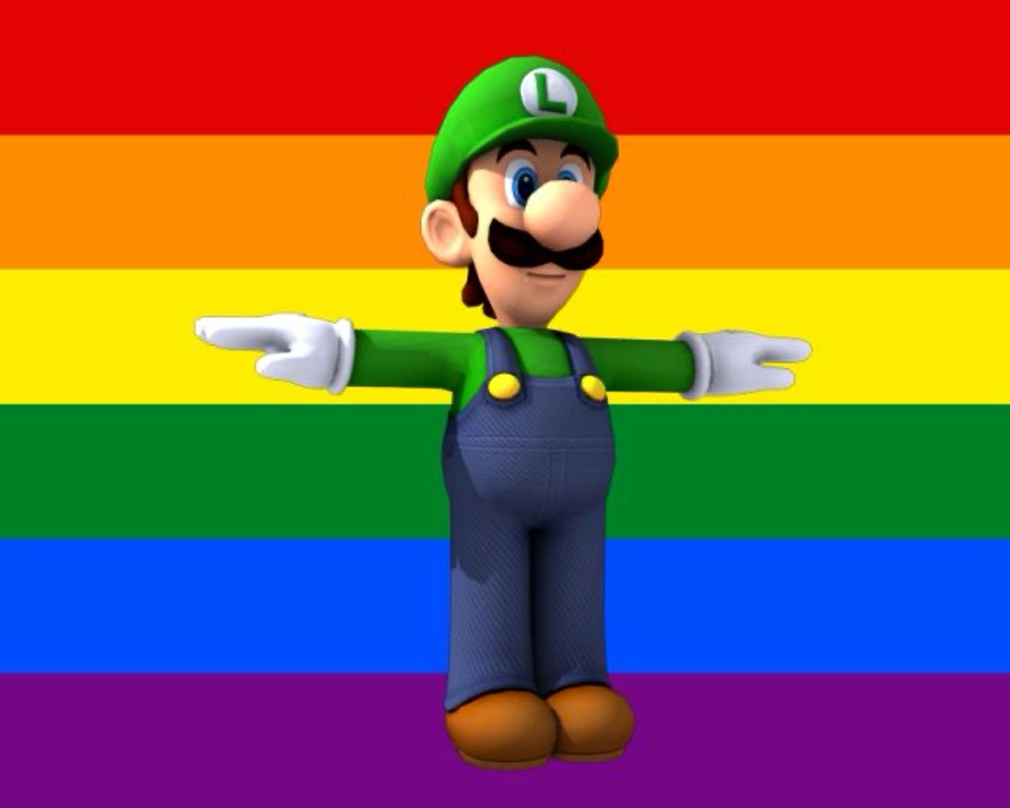 Luigi from Super Mario Bros standing in front of the gay pride flag