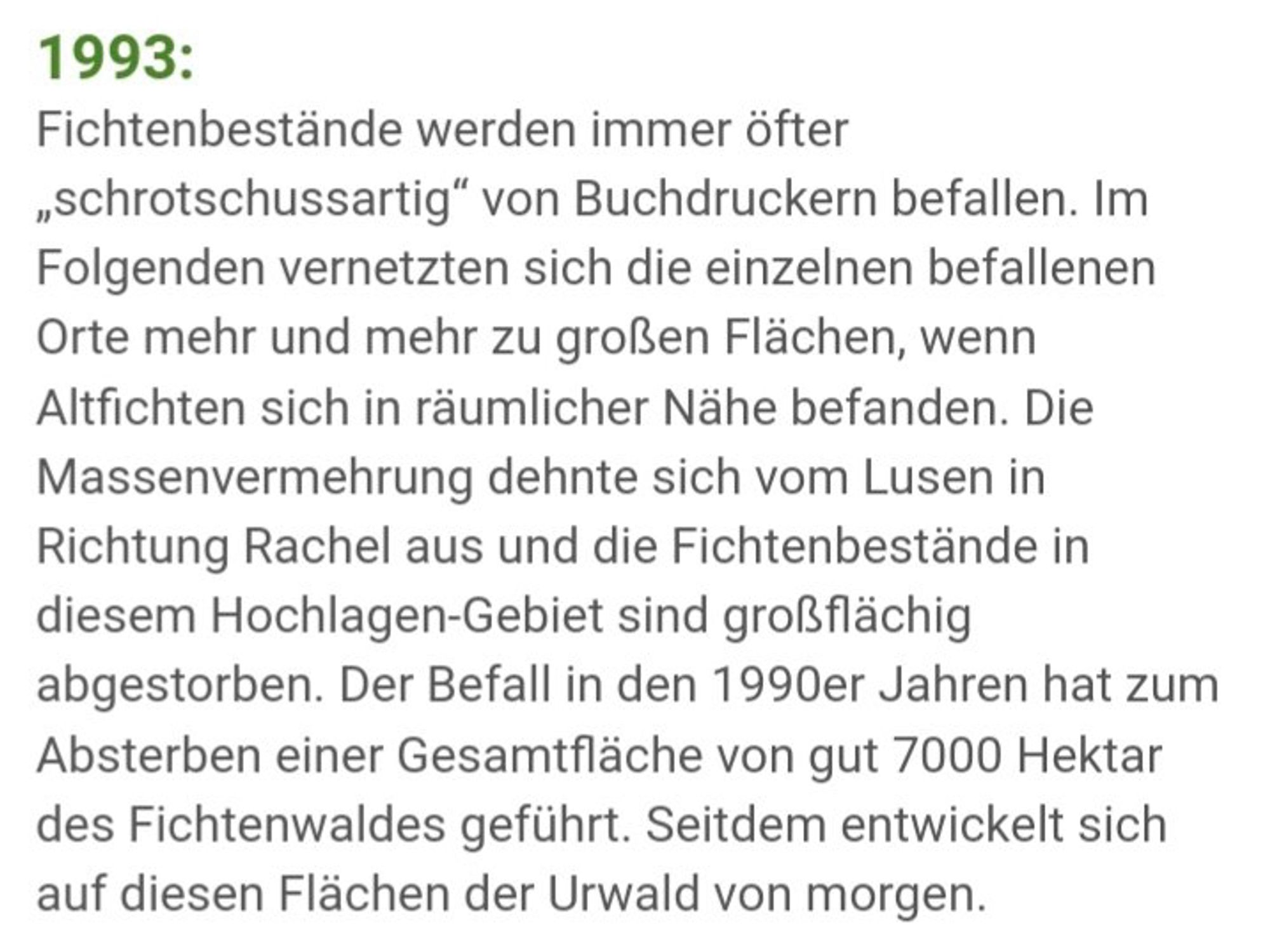 Geschichte des Bayerischen Wald:

1993:
Fichtenbestände werden immer öfter „schrotschussartig" von Buchdruckern befallen. Im Folgenden vernetzten sich die einzelnen befallenen Orte mehr und mehr zu großen Flächen, wenn Altfichten sich in räumlicher Nähe befanden. Die Massenvermehrung dehnte sich vom Lusen in Richtung Rachel aus und die Fichtenbestände in diesem Hochlagen-Gebiet sind großflächig abgestorben. Der Befall in den 1990er Jahren hat zum Absterben einer Gesamtfläche von gut 7000 Hektar des Fichtenwaldes geführt. Seitdem entwickelt sich auf diesen Flächen der Urwald von morgen.