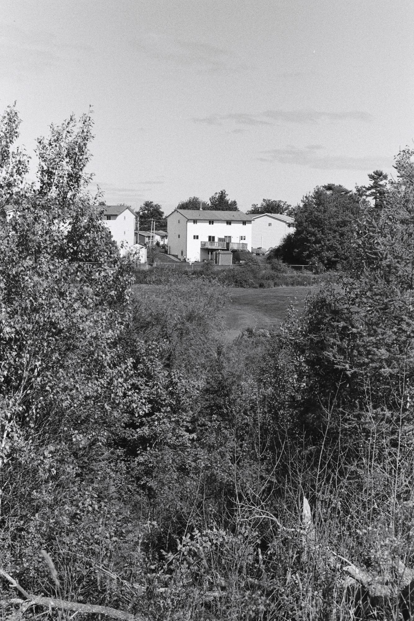 View of 1990s suburban housing from a small forested area.