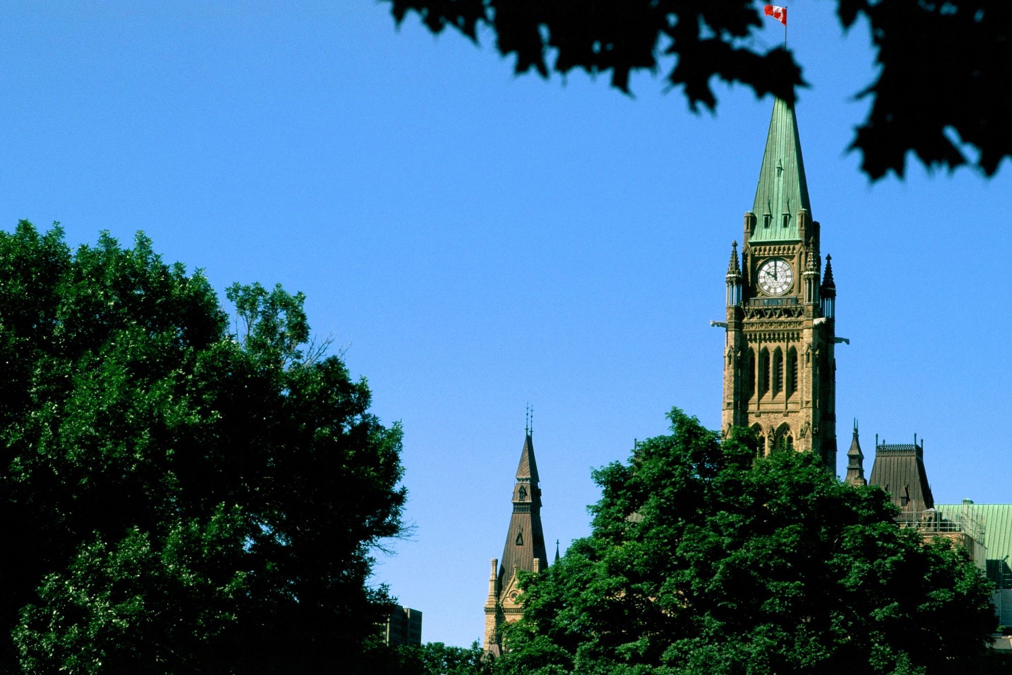 Neogothic clock tower showing 10:00 (am). The tower is surrounded by trees in the frame and the skies are clear and blue.