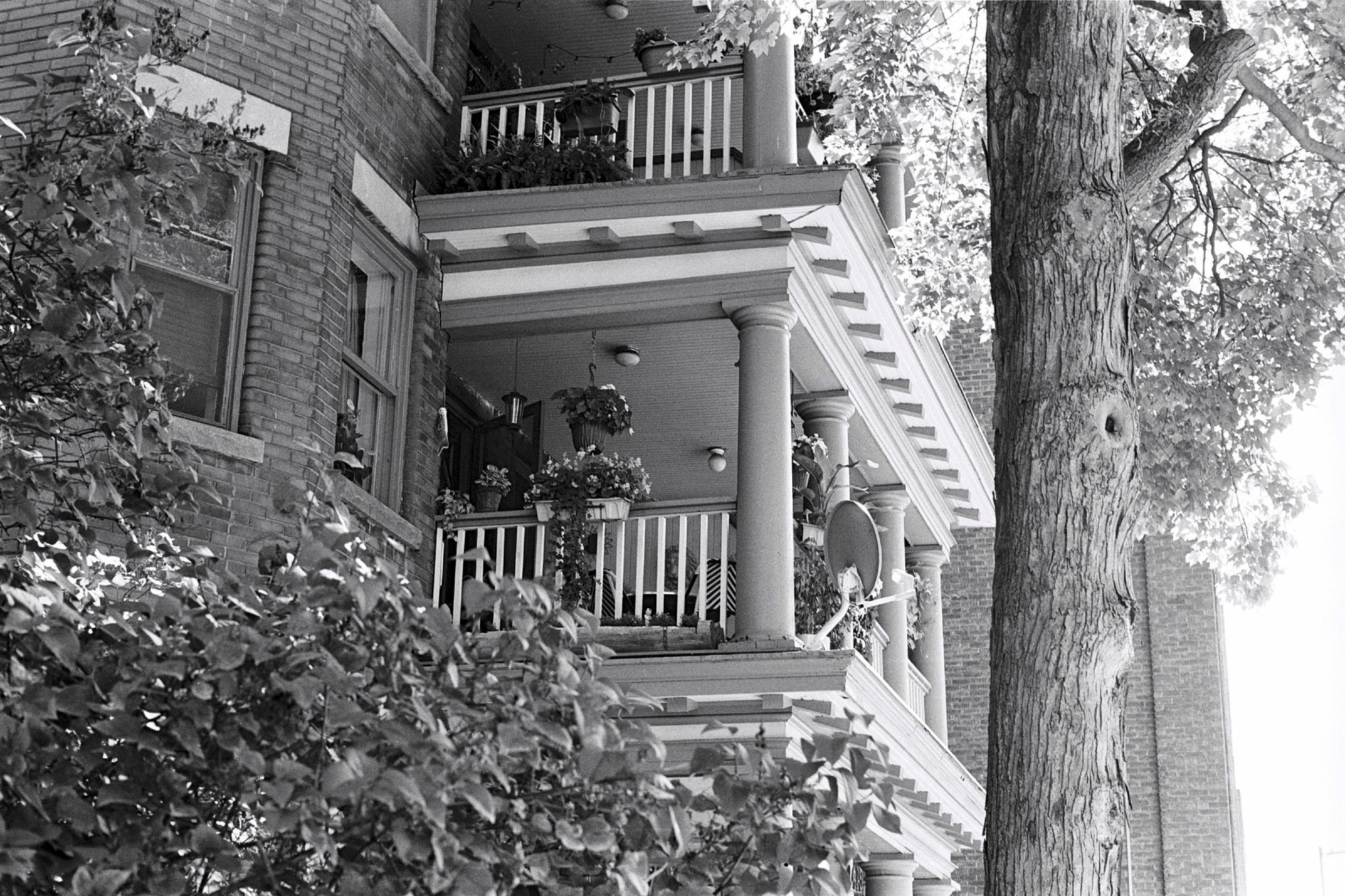 Low-angle view of the balcony space for a unit in an apartment from the early 20th century. Numerous potted plants are present on the balcony and beyond the railing, some nice furniture is visible. A small satellite dish has been mounted.