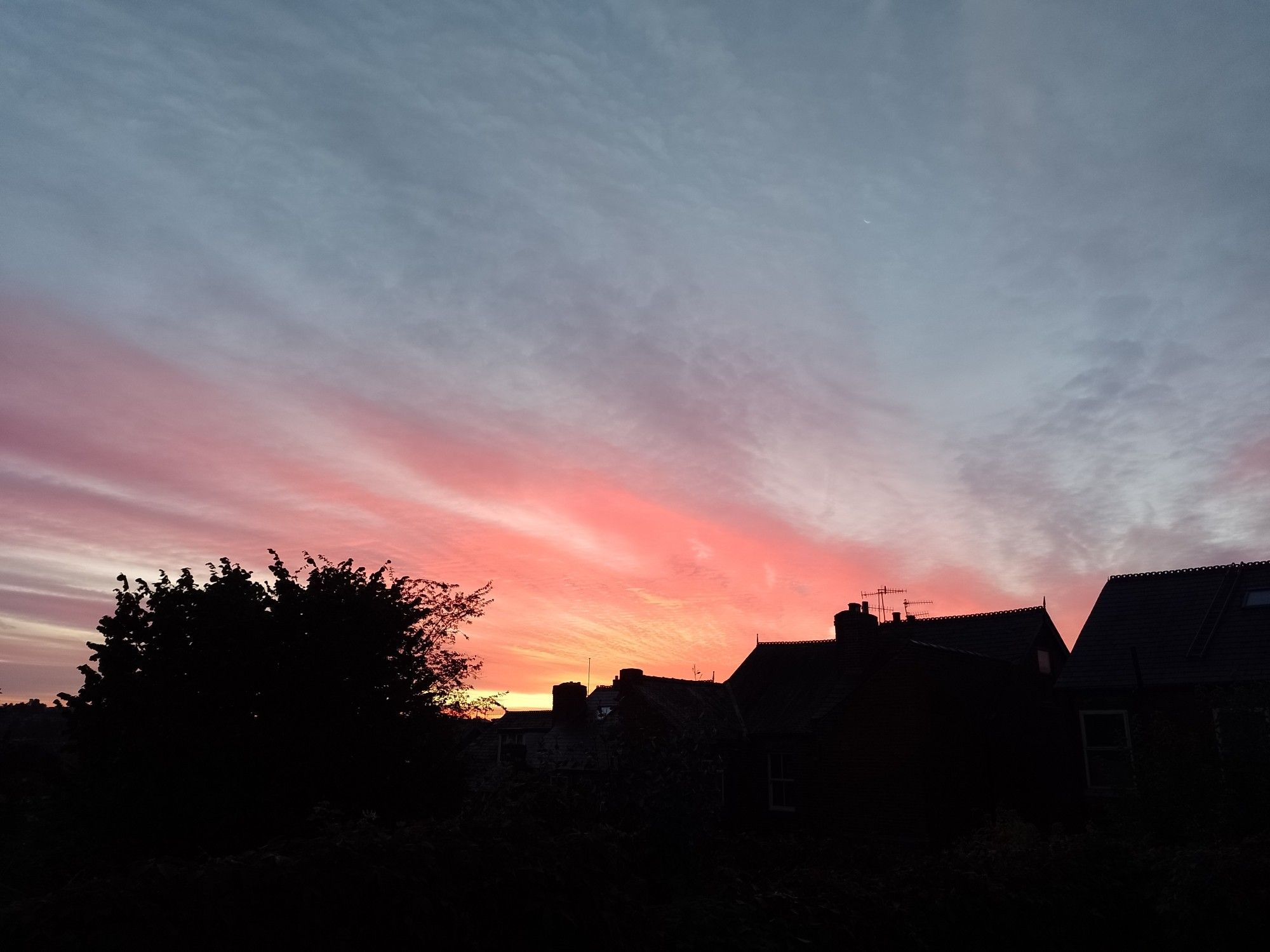 The sunrise from my garden, looking south east. A band of orangey-pink clouds spread over the roofs of some terraced houses.