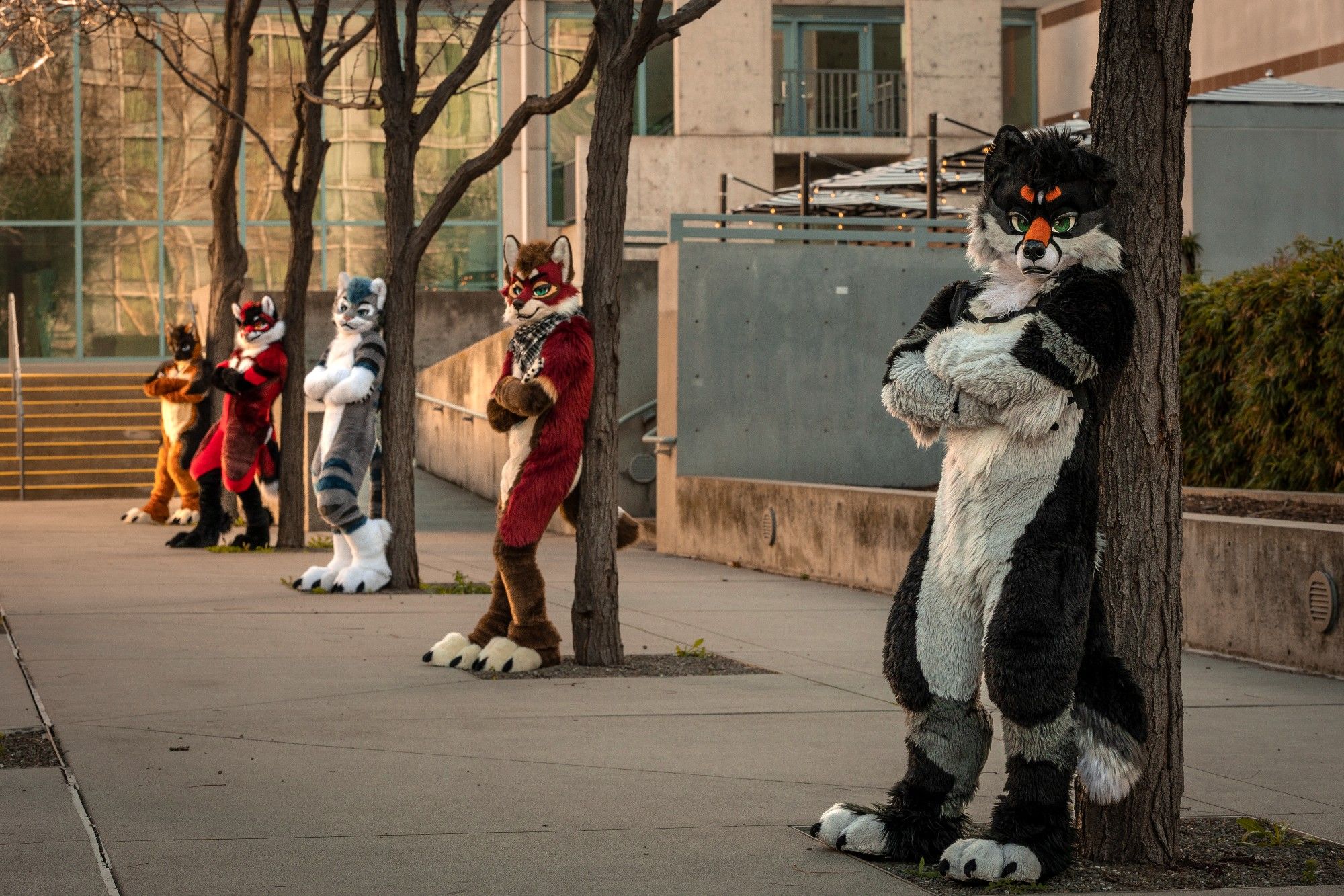 A variety of critters lean against trees in a line, arms crossed and looking at you expectantly...