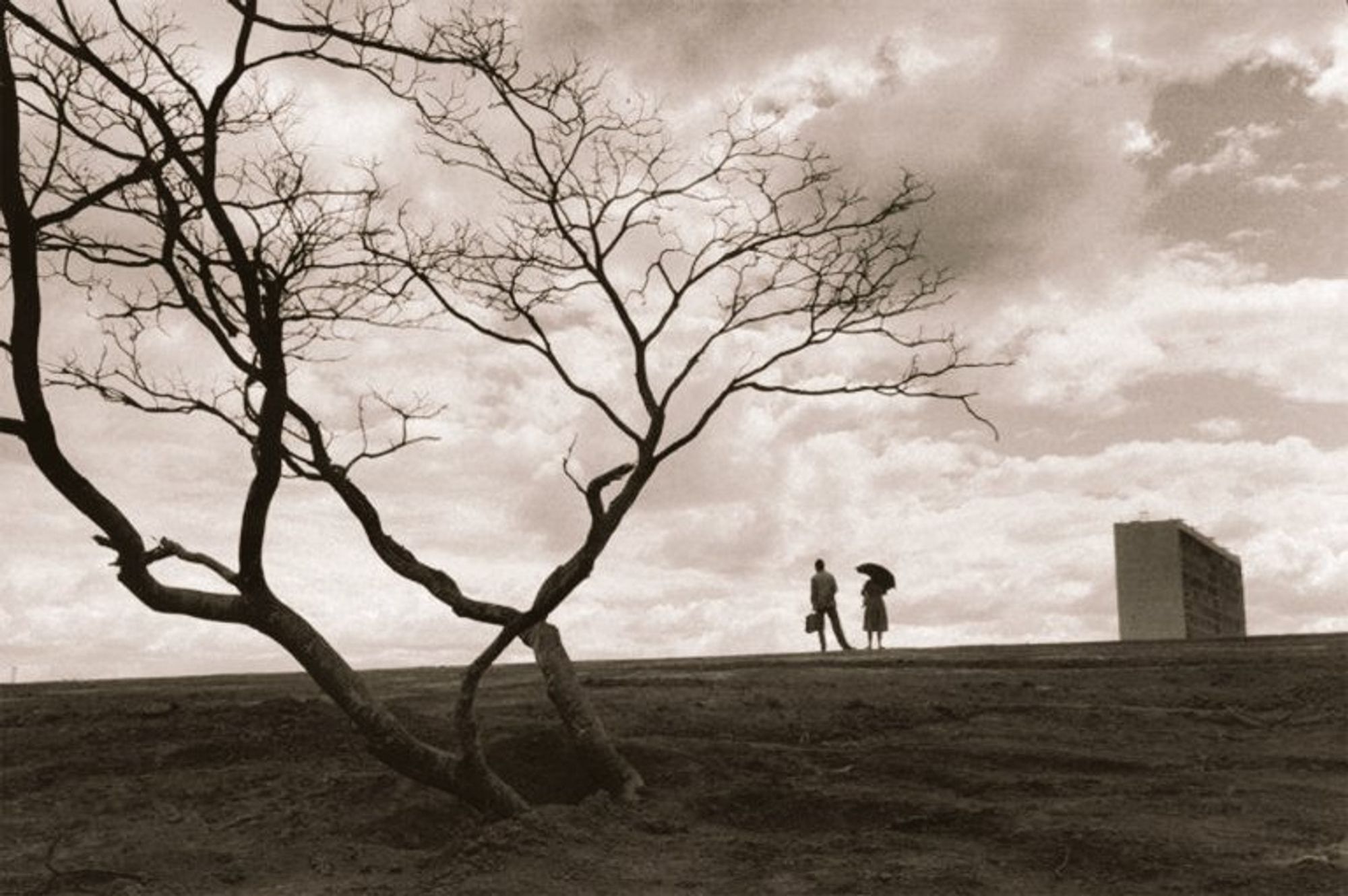 Curved tree in the foreground, two smaller figures in the center, building on the right