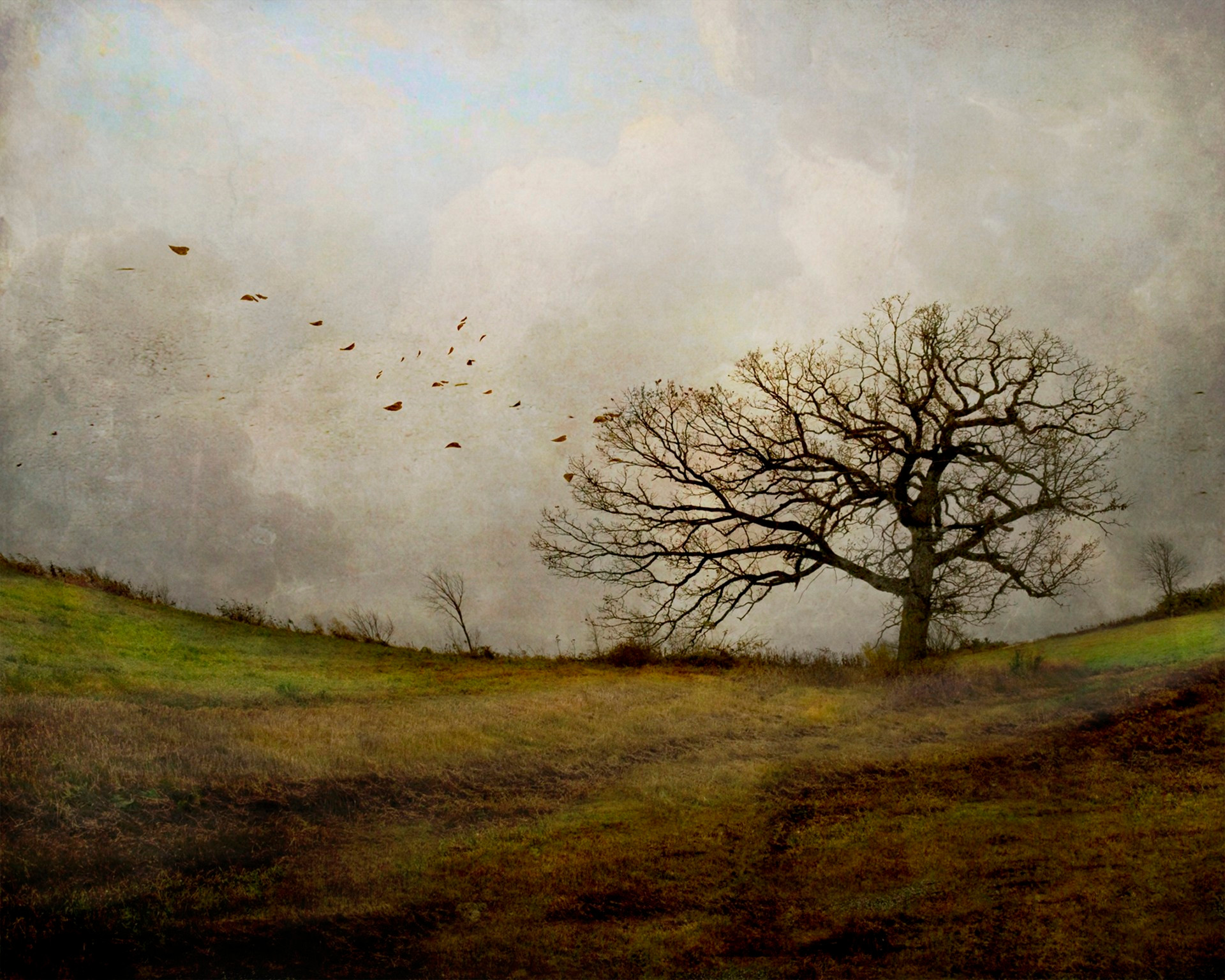 Flock of birds fly from a tree with long, curved branches in a field with soft hills autumn landscape,  'The Magic of Place'