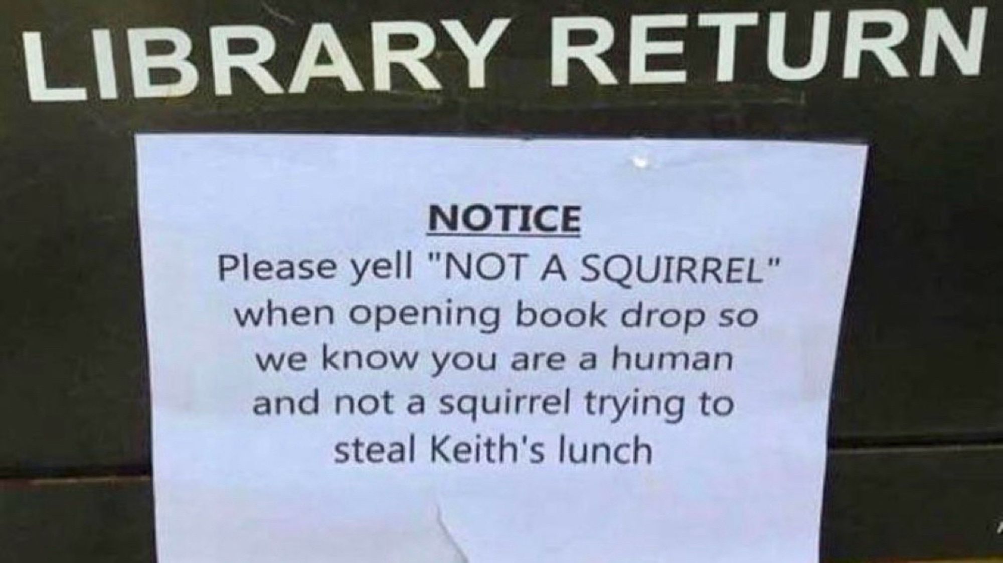 Sign on a library book drop sign requesting people to yell "NOT A SQUIRREL" to confirm they are human and not a squirrel trying to steal Keith's lunch.