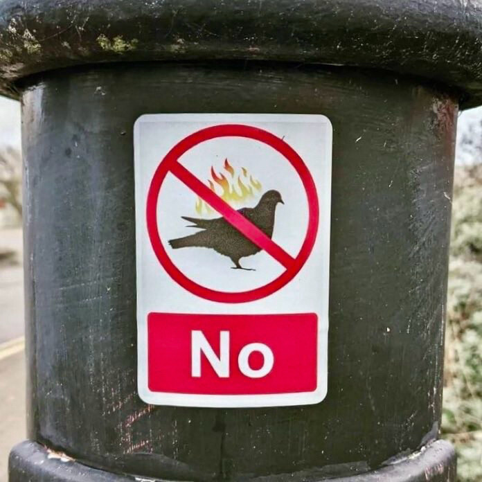 A posted sign with a silhouette of a pigeon with what looks like fire behind it, with a red circle around it and line through it, and the word “No” below.