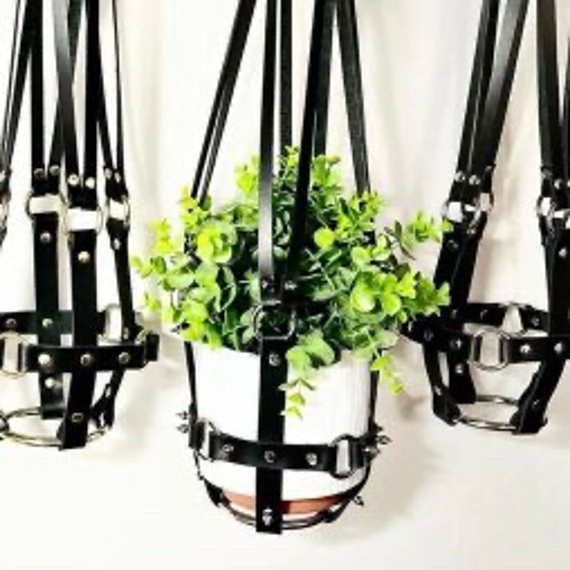 3 black leather, studded plant hangers. A plant sits in the center one.