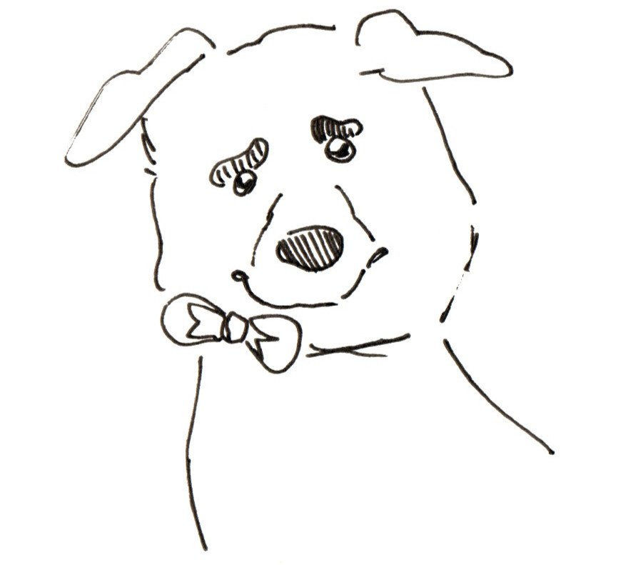 my late dog, this is still my favourite doodle ive done of him