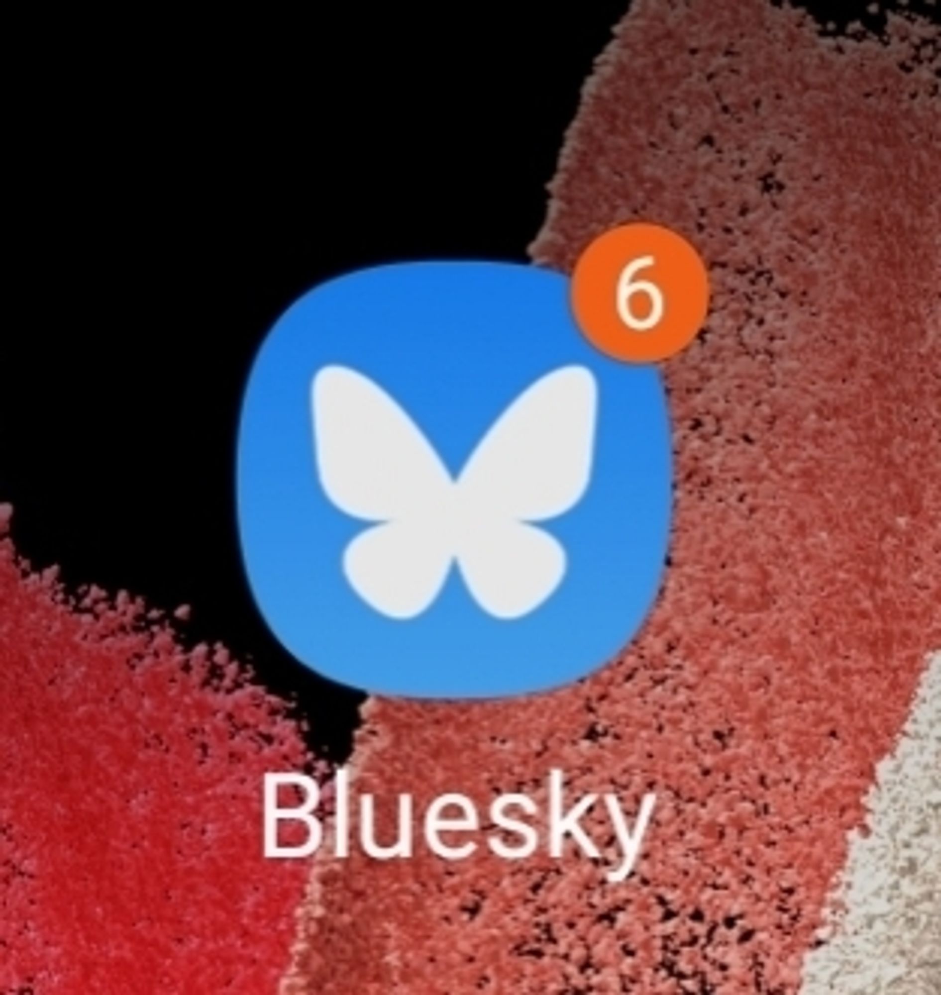 Neues Bluesky Logo.
Ein weißer Schmetterling auf blauem Grund.