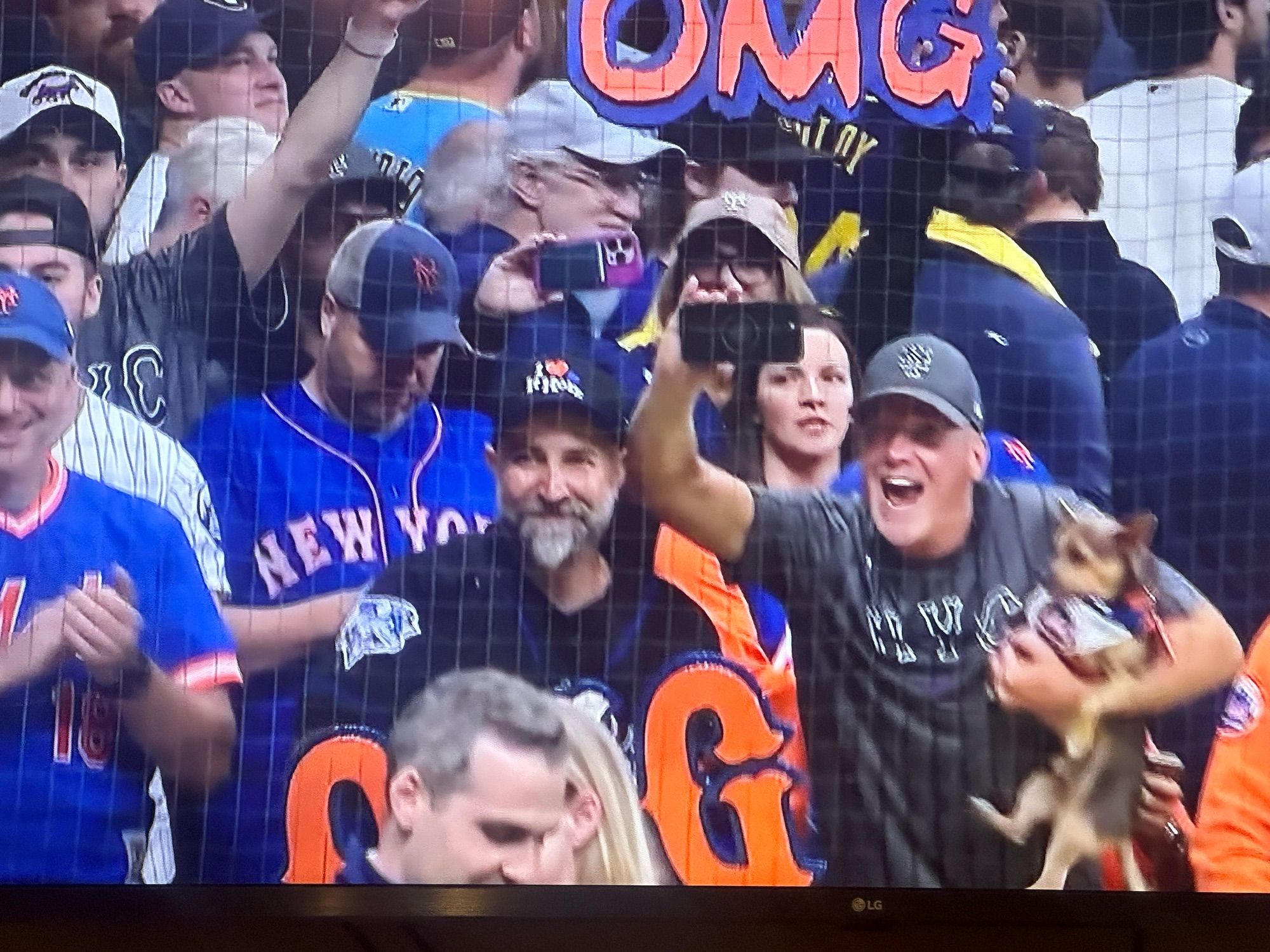 Mets dog in the front row