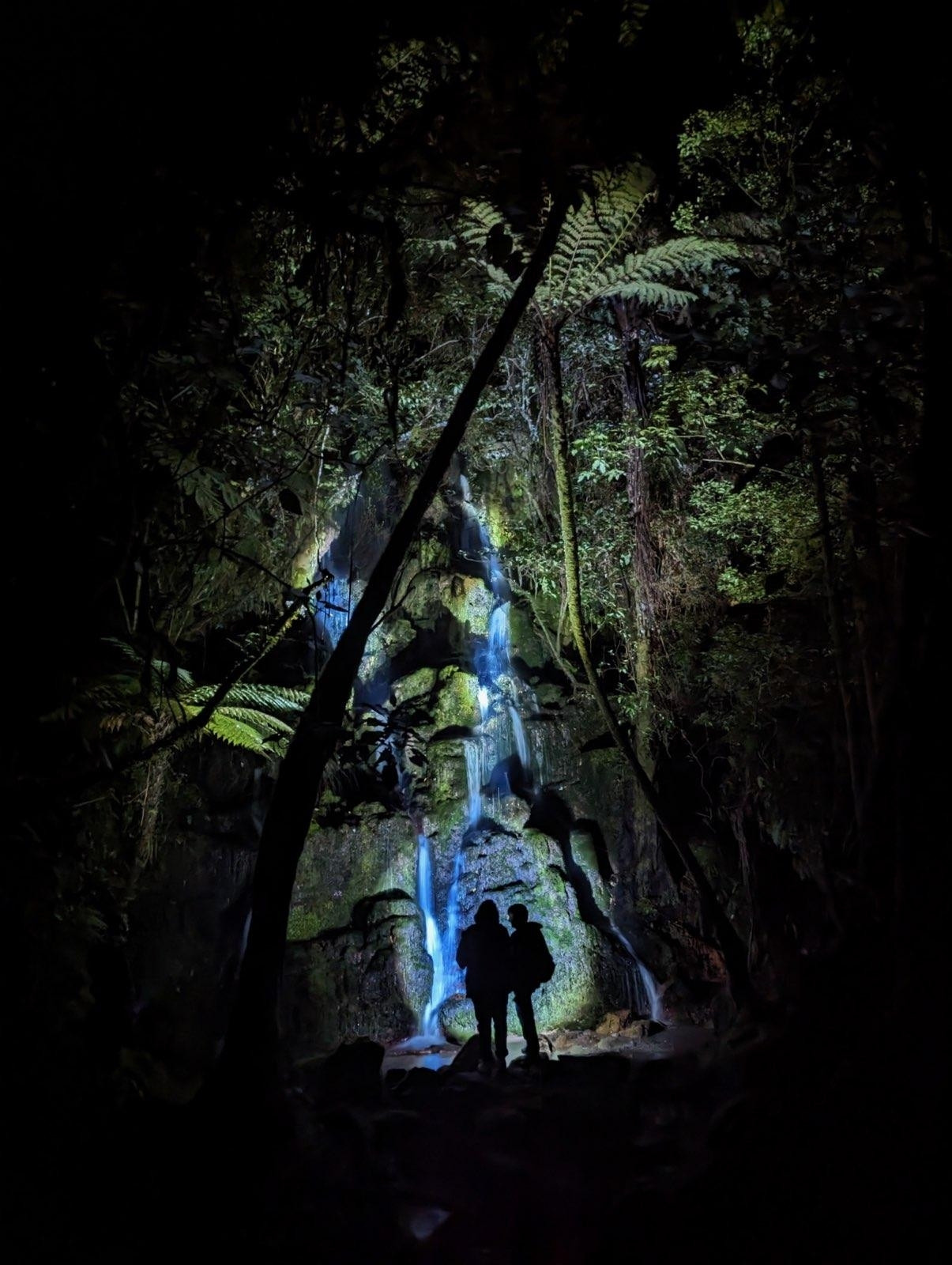 night waterfall in the outskirts of rotorua