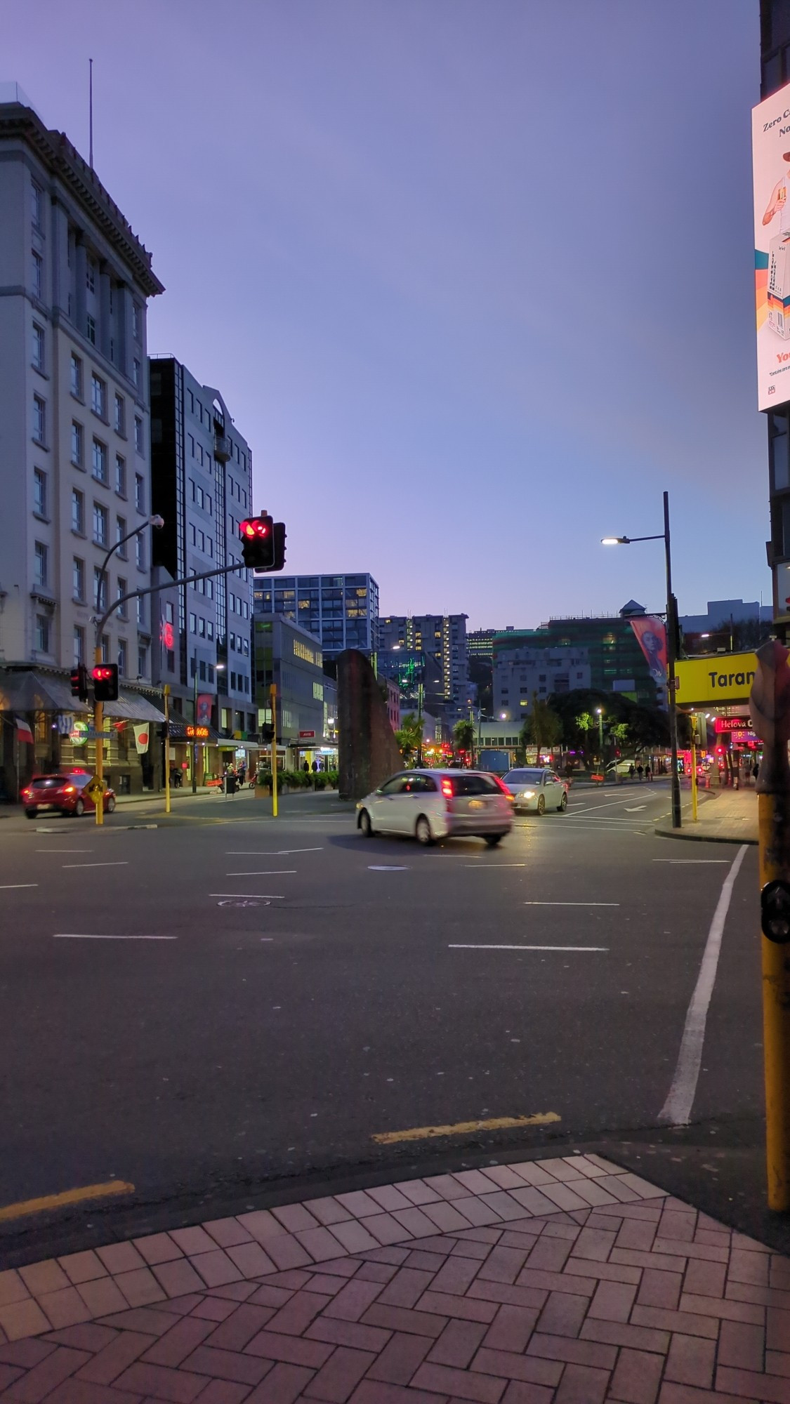 wellington at sunset