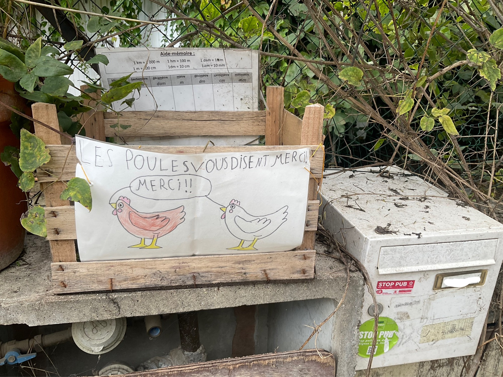 Une cagette avec un dessin de deux poules, une rousse et une blanche et la légende « les poules vous disent merci ». Les poules disent effectivement merci