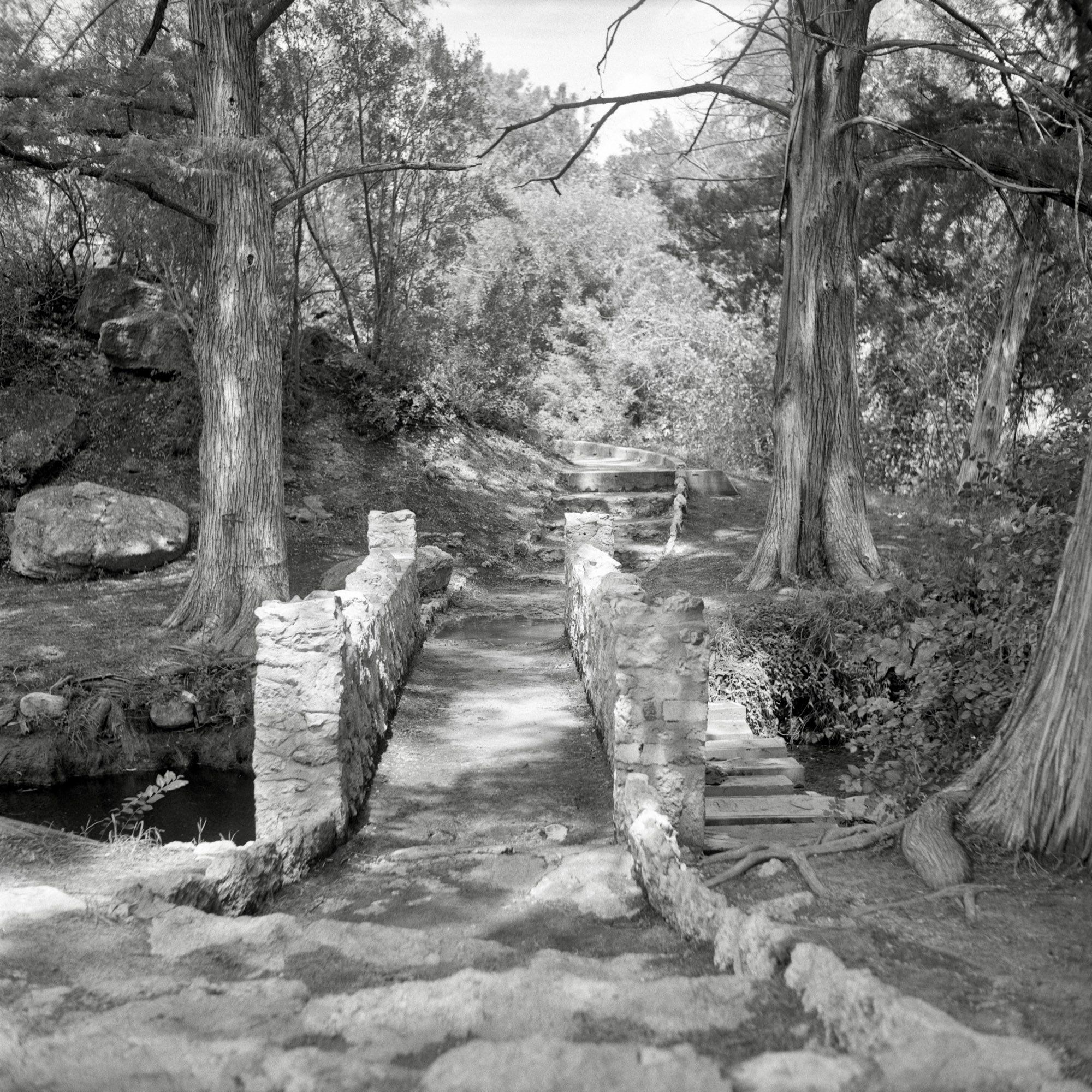 A black and white film photo. An old path winds its way through Civic League Park in San Angelo, Texas. Sunday, September 1, 2024.