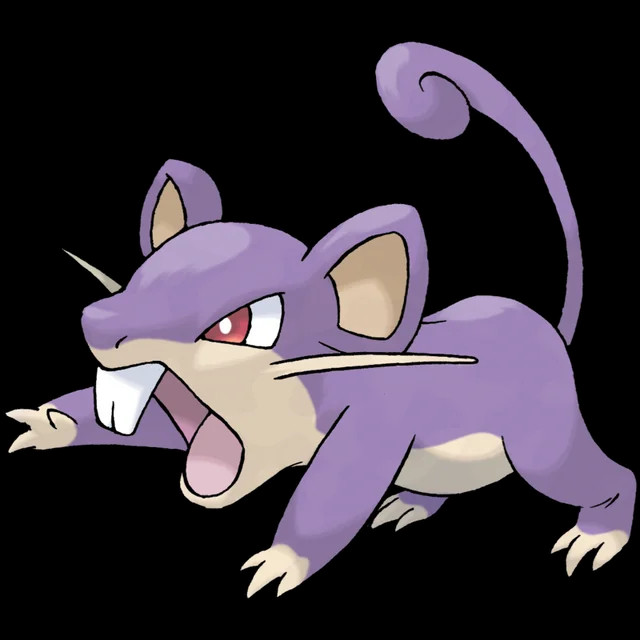 rattata pokemon