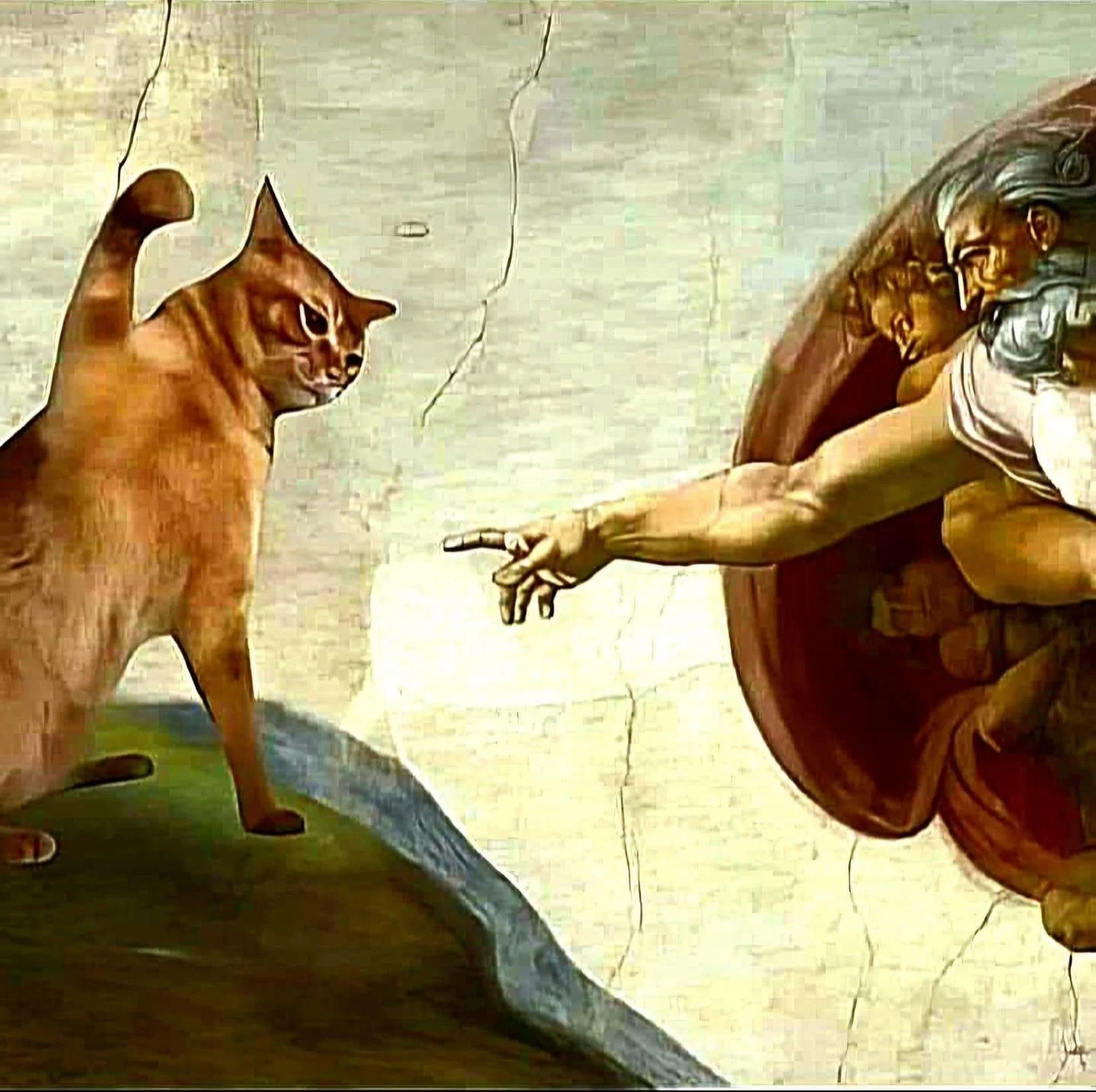 A cat rejecting G-d

Famous adam touching fingers art
