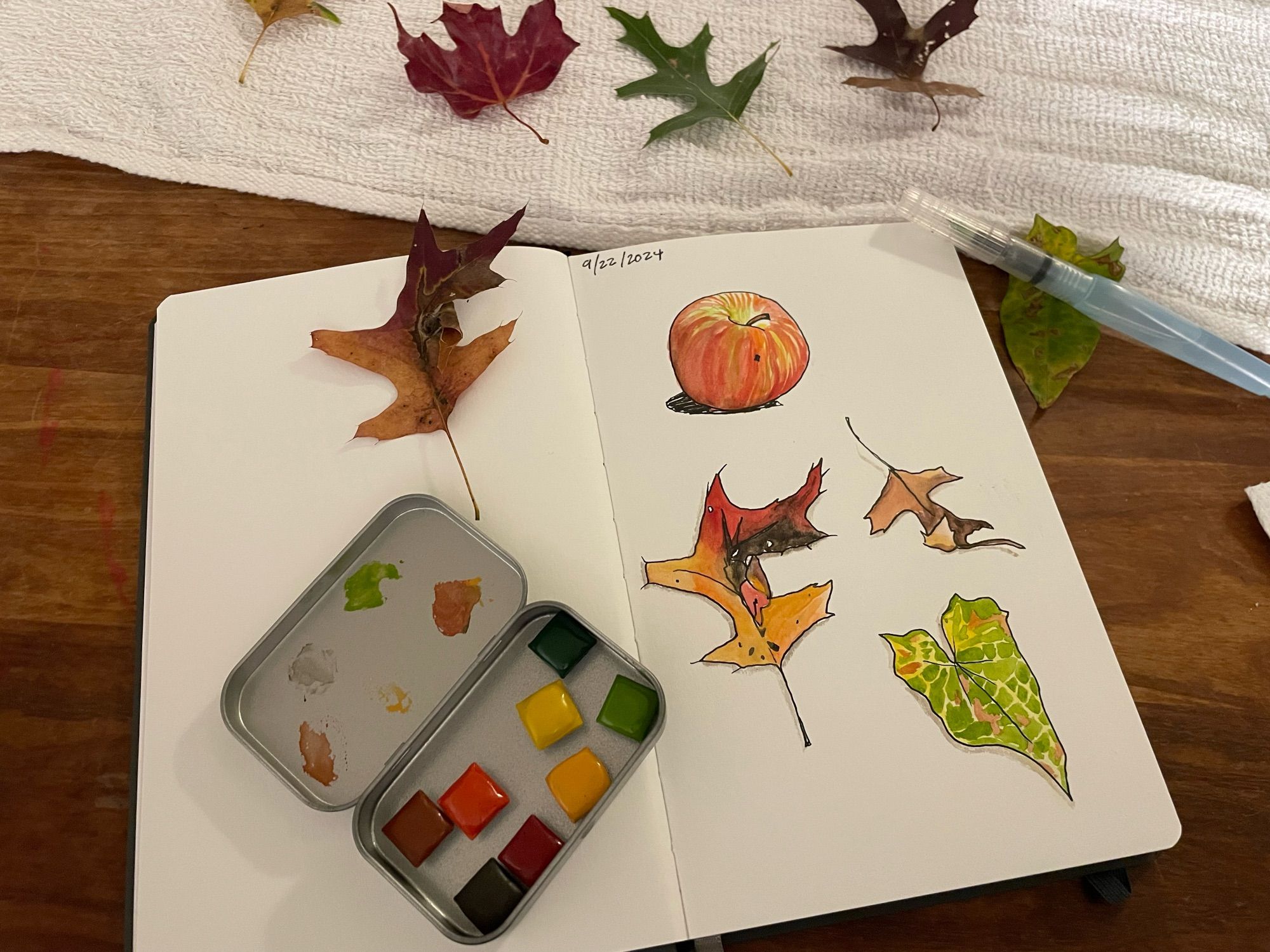 Sketchbook with little paintings of an apple and some autumn leaves. Actual leaves scattered around the table. And a little paintbox, smaller than a deck of cards, with little gems of watercolor paint in greens and warm fall colors (it is specifically for painting leaves)