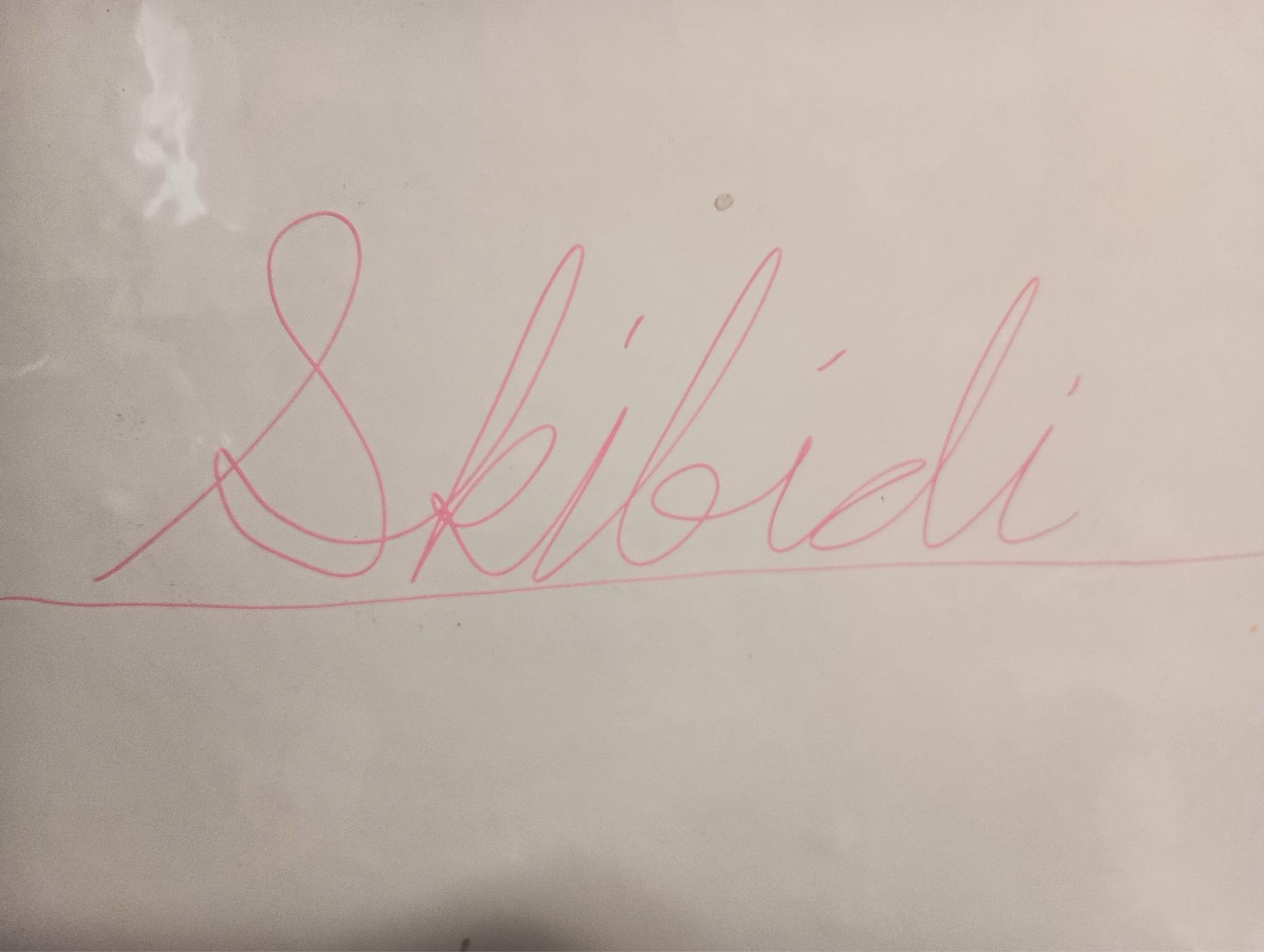 Skibidi