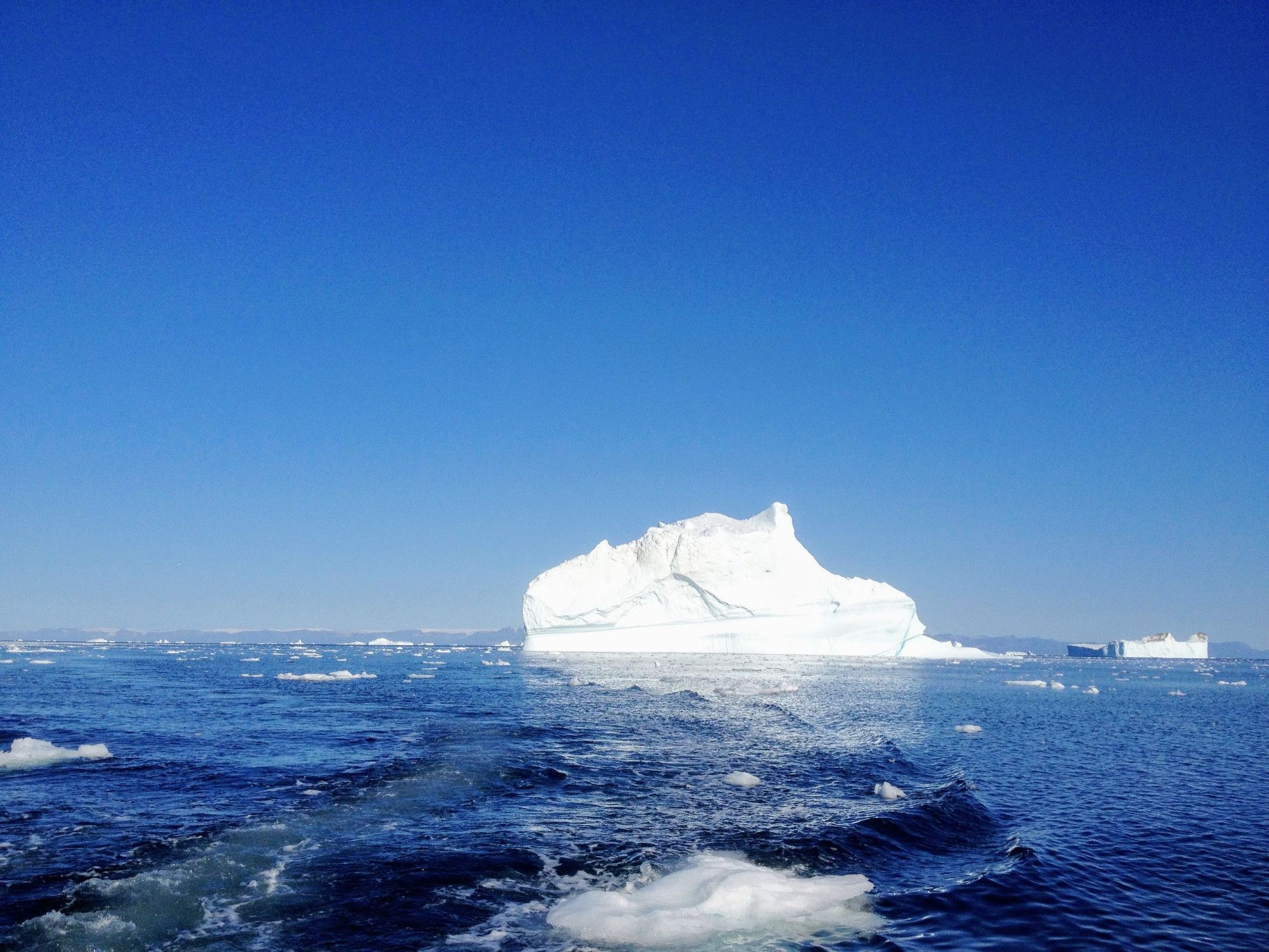 Arctic sea ice