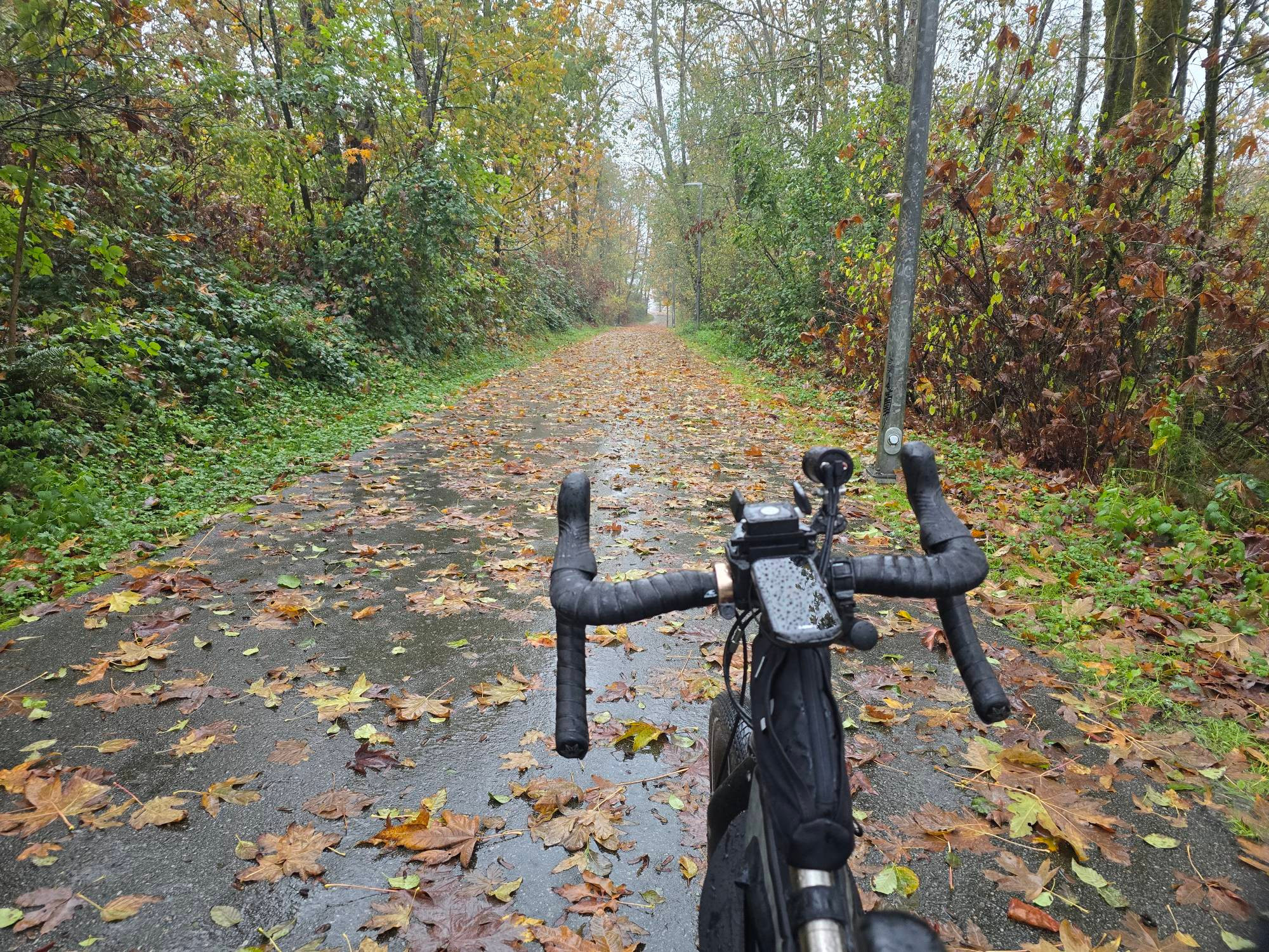 Bike on a paved trail covered in fallen leaves though golden brown trees near BCIT. Misty rain falls.