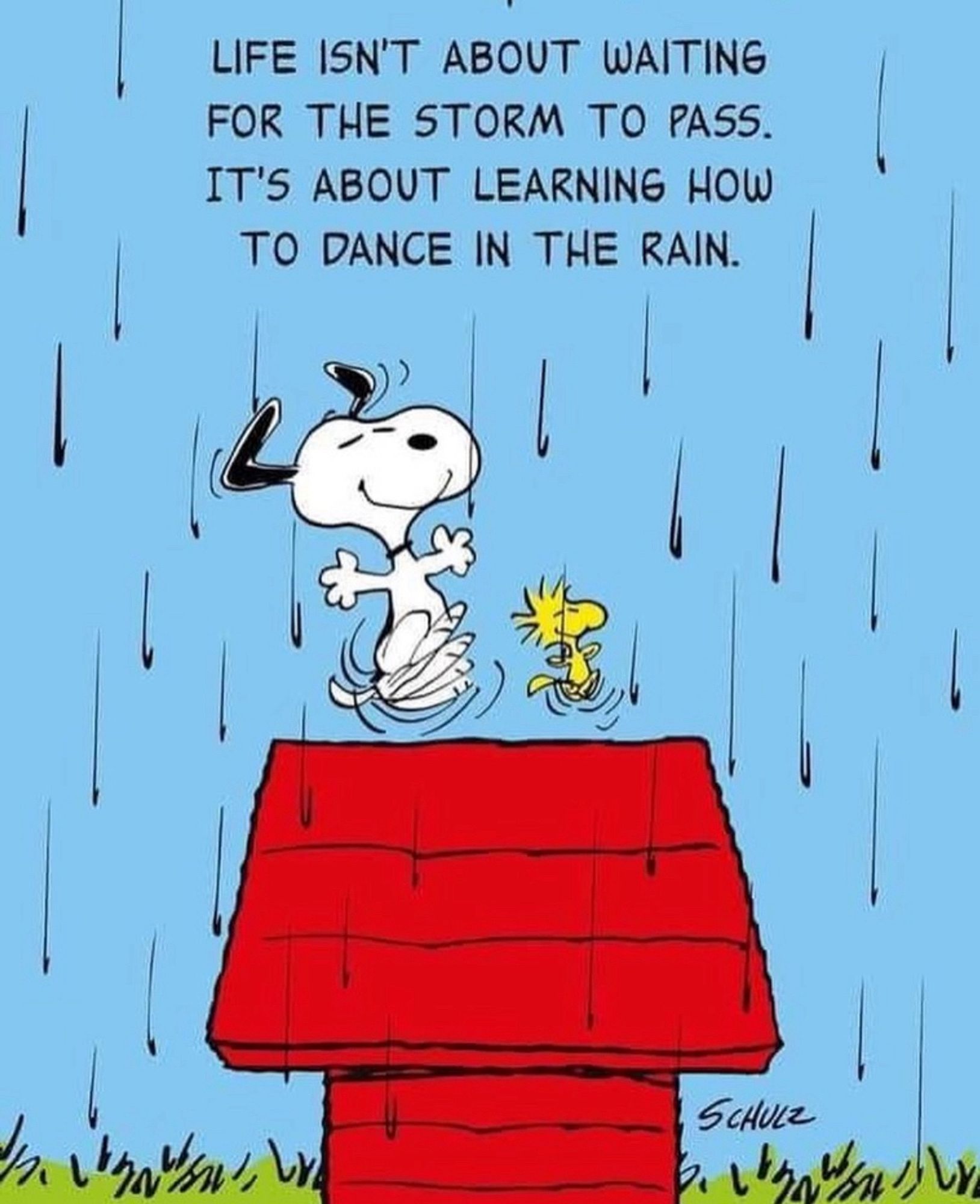 Snoopy und woodstock tanzen im regen auf der Hundehütte.
Text: life isn’t about waiting for the storm to pass. Its about learning how to dance in the rain