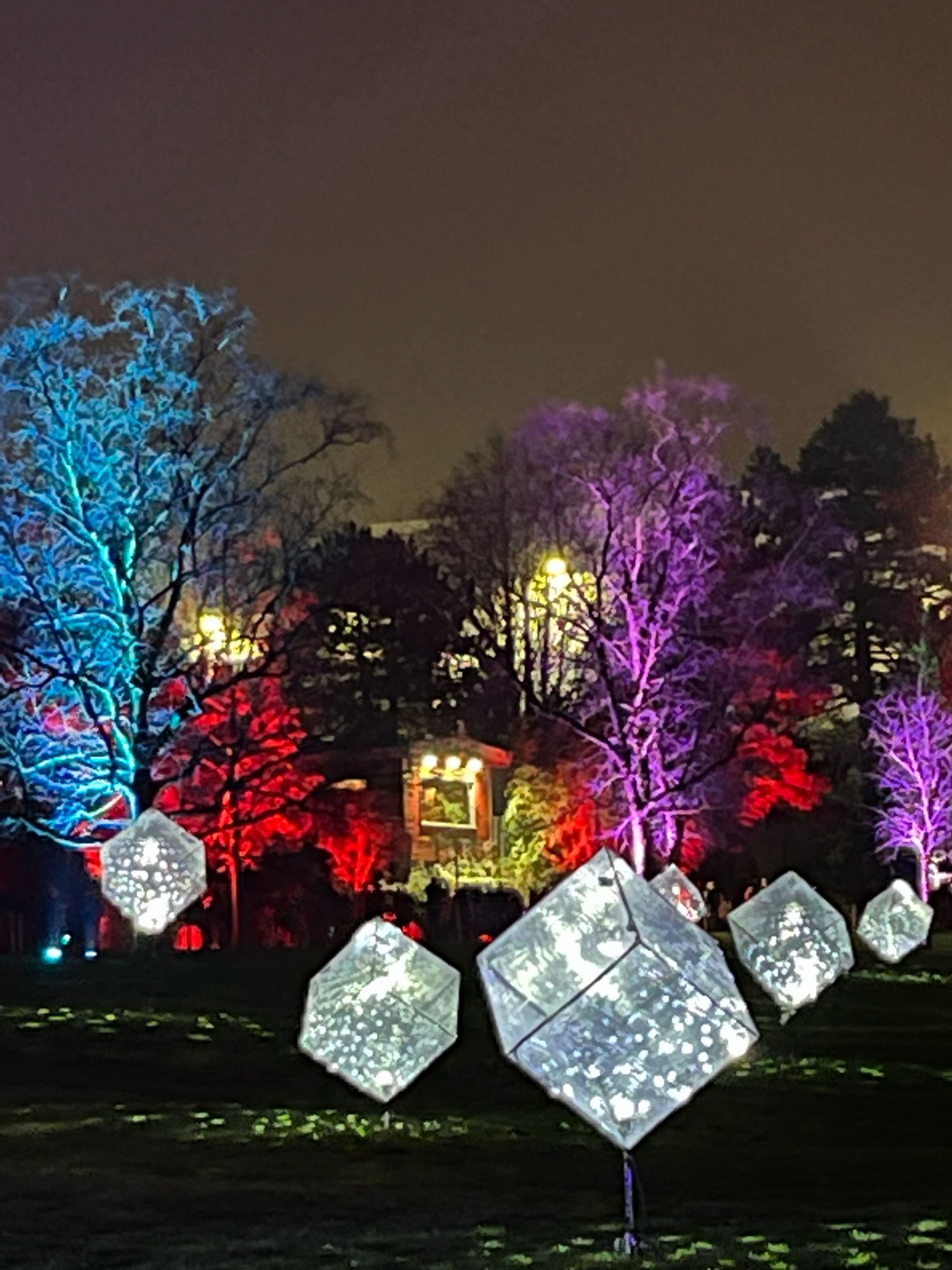 Im Park bei Nacht: helle Quadrate in Würfelform auf einem Ständer. Im Hintergrund die bunt angestrahlten bäume