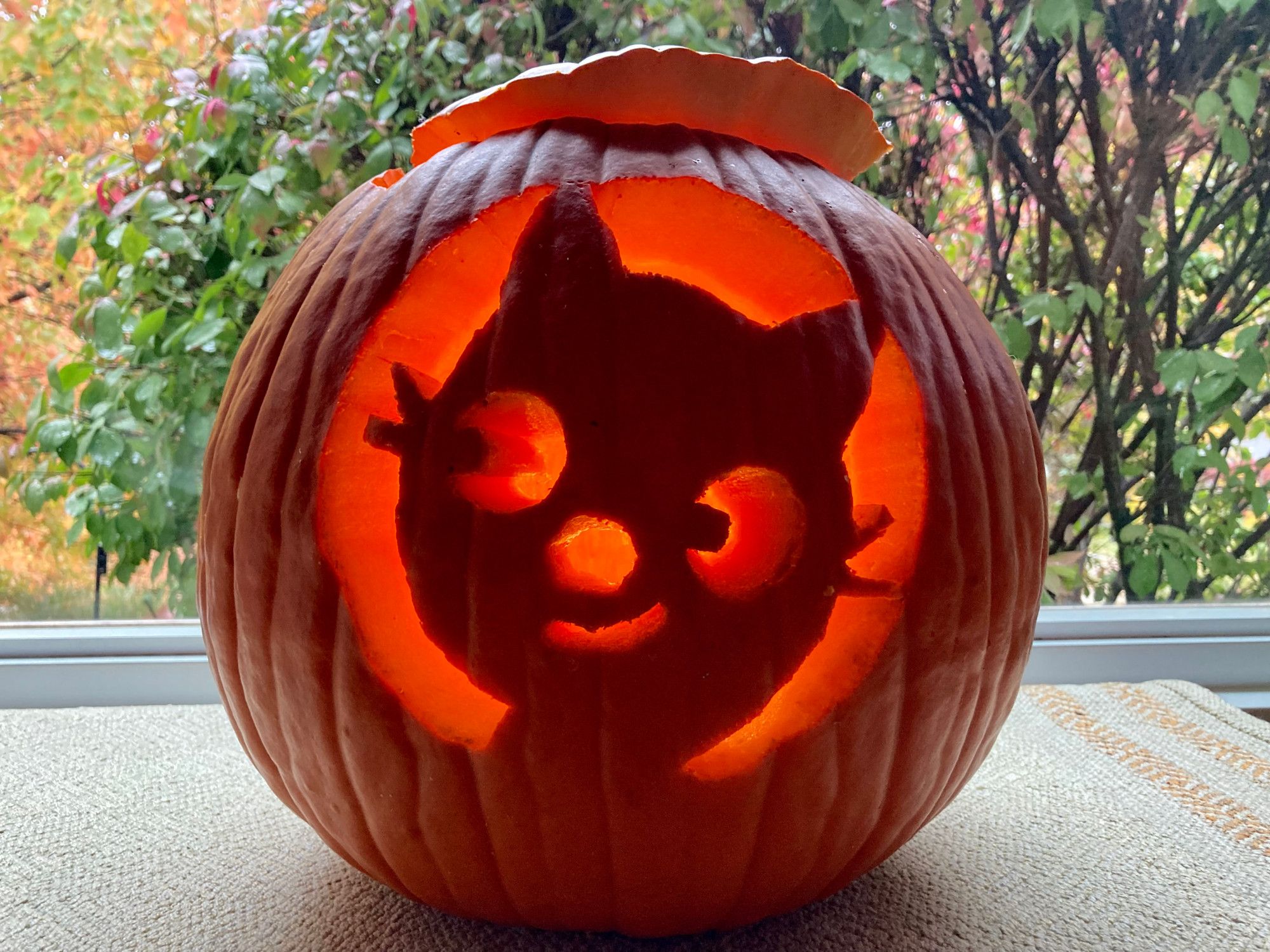 Largish jack-o-lantern, lit, into which a mother with more love than ability has carved a crude rendering of Jijna the Sagomini cat thing.