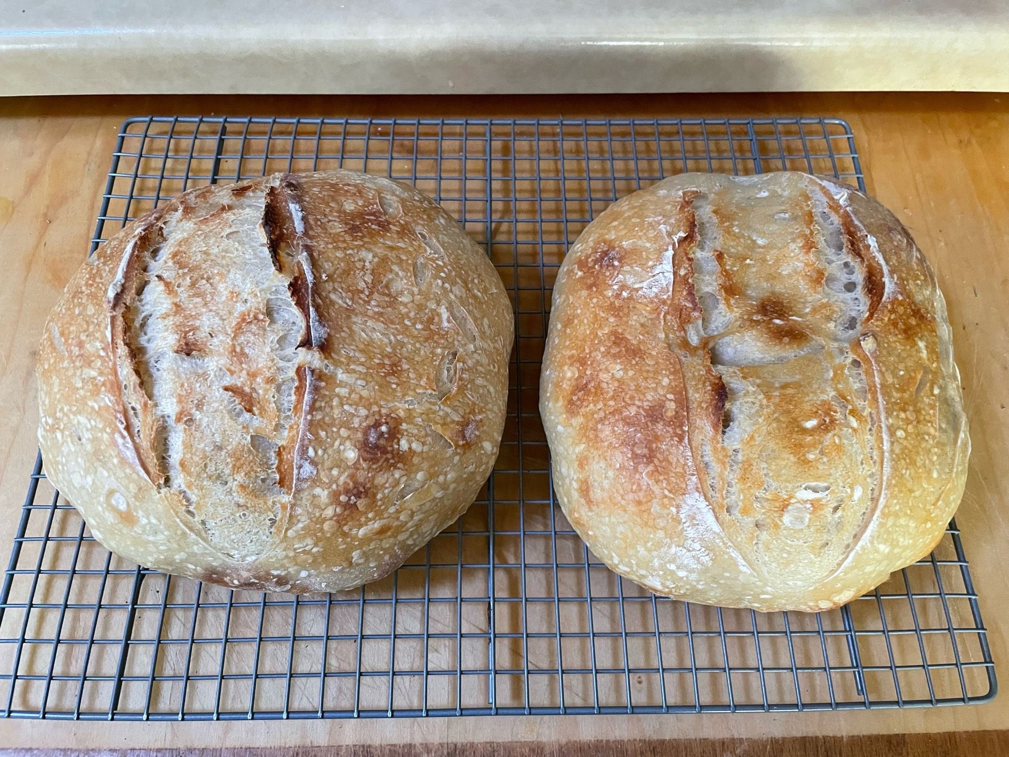 Two freshly baked loaves of sourdough bread on a cooling rack.